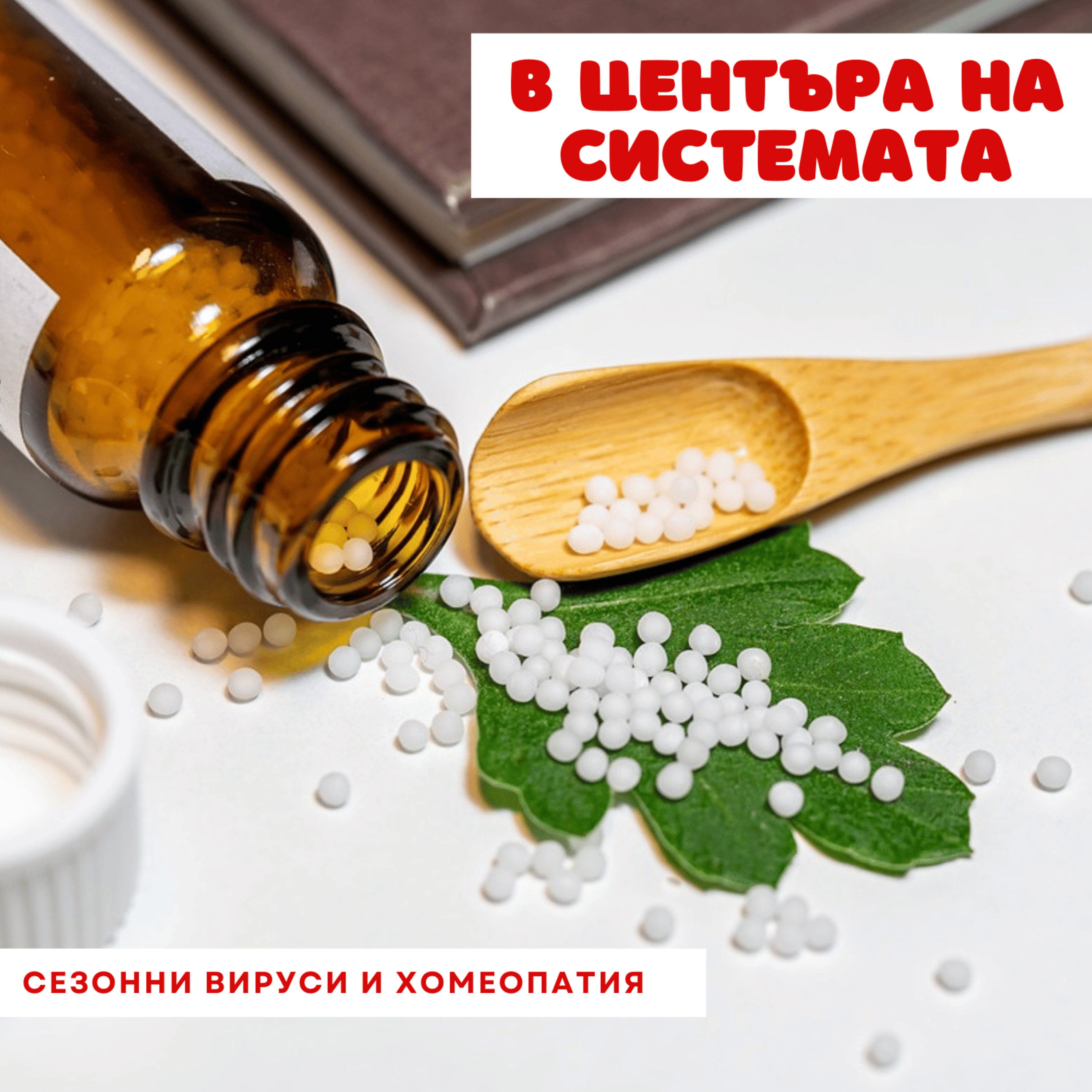 В центъра на системата - Сезонни вируси и хомеопатия episode artwork