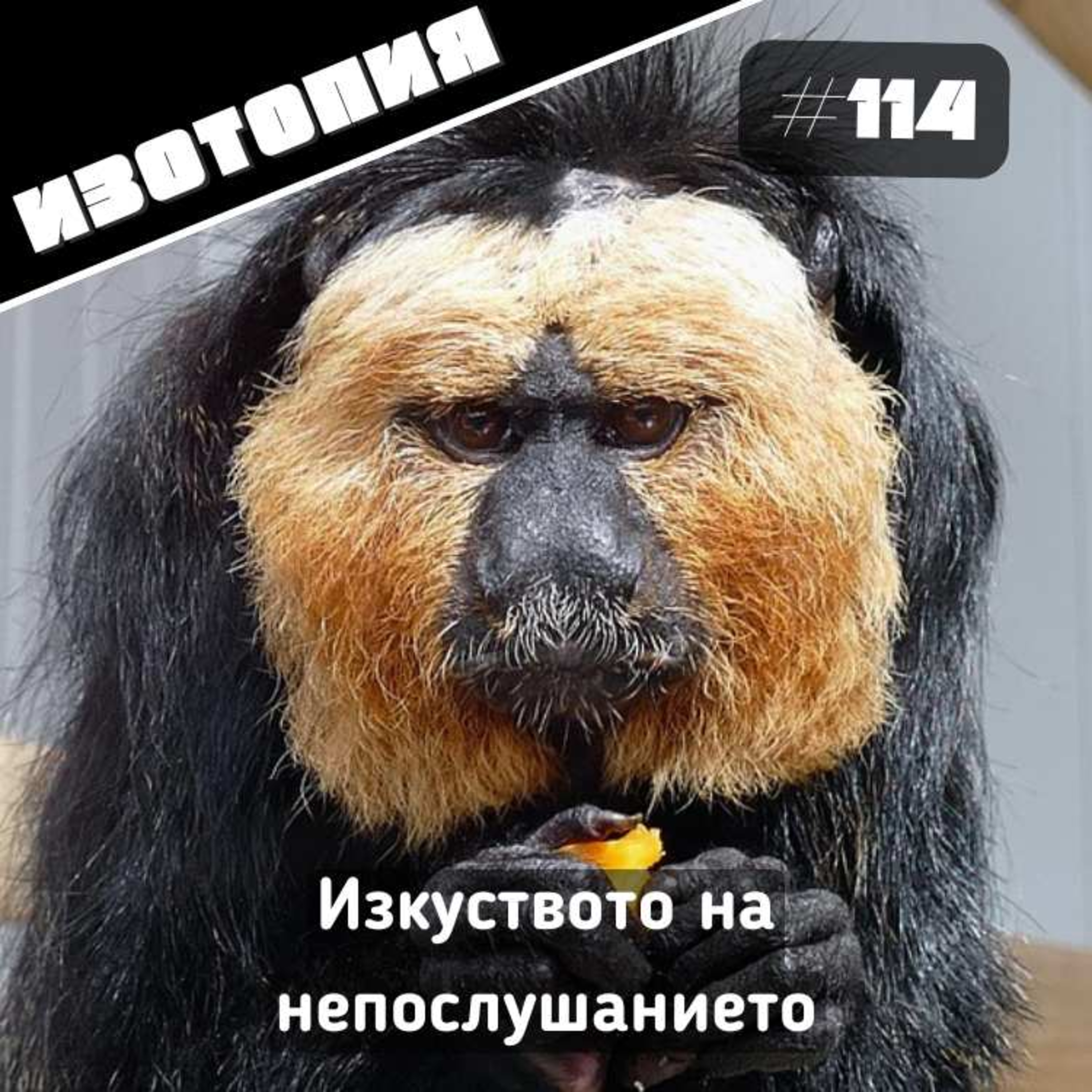 Изкуството на непослушанието | Изотопия #114