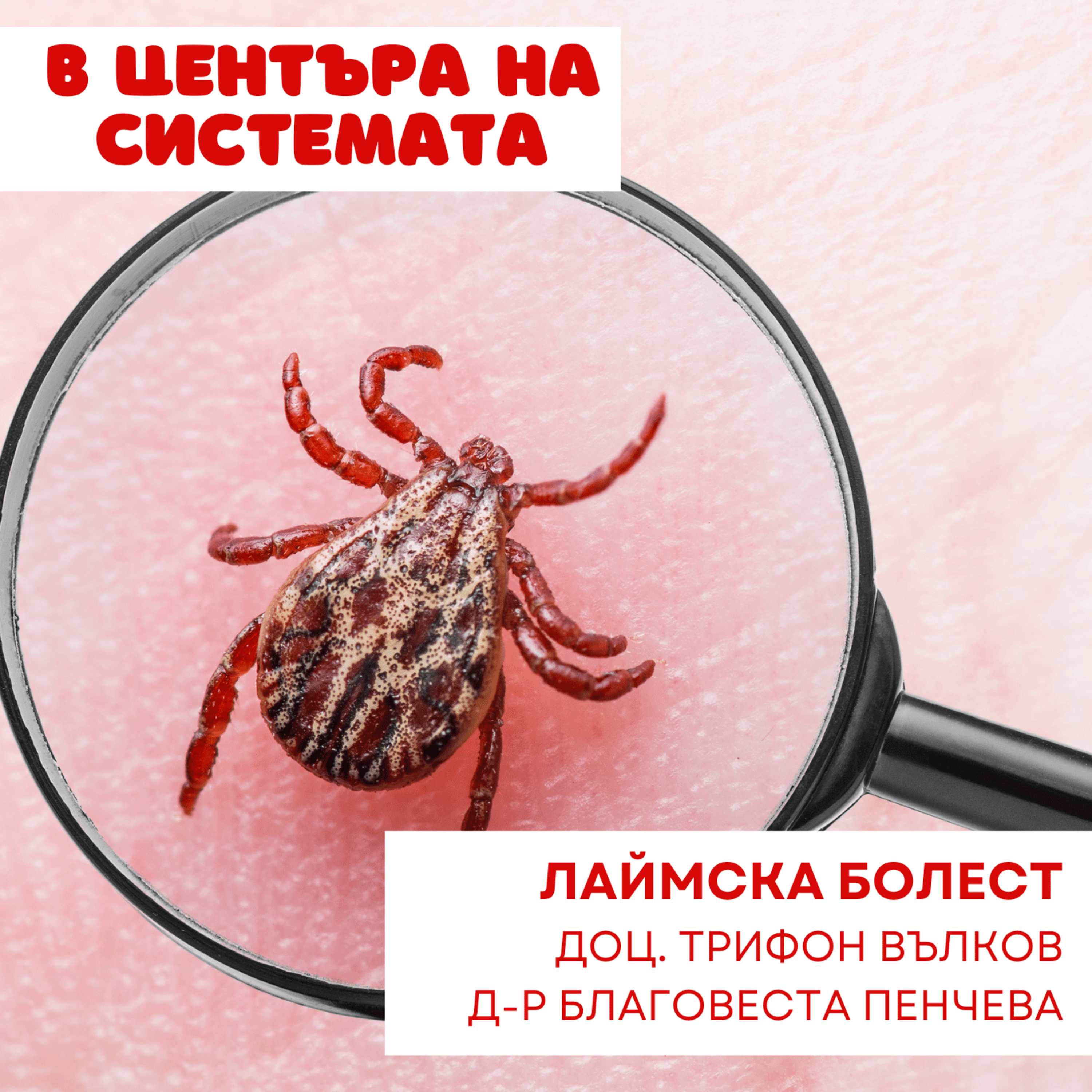 В центъра на системата - Лаймска болест episode artwork
