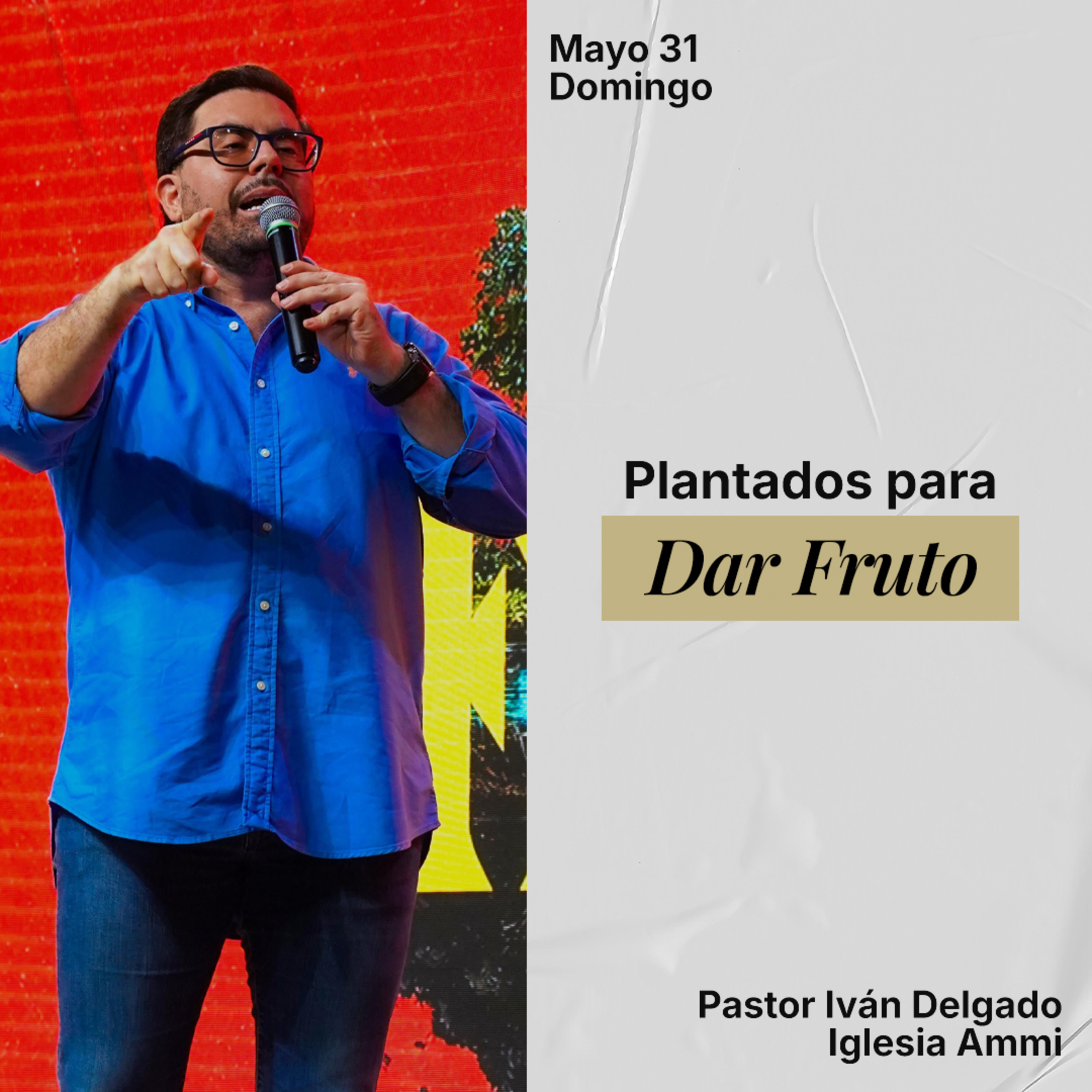 Plantados Para Dar Frutos | Iván Delgado Glenn | Ammi Central