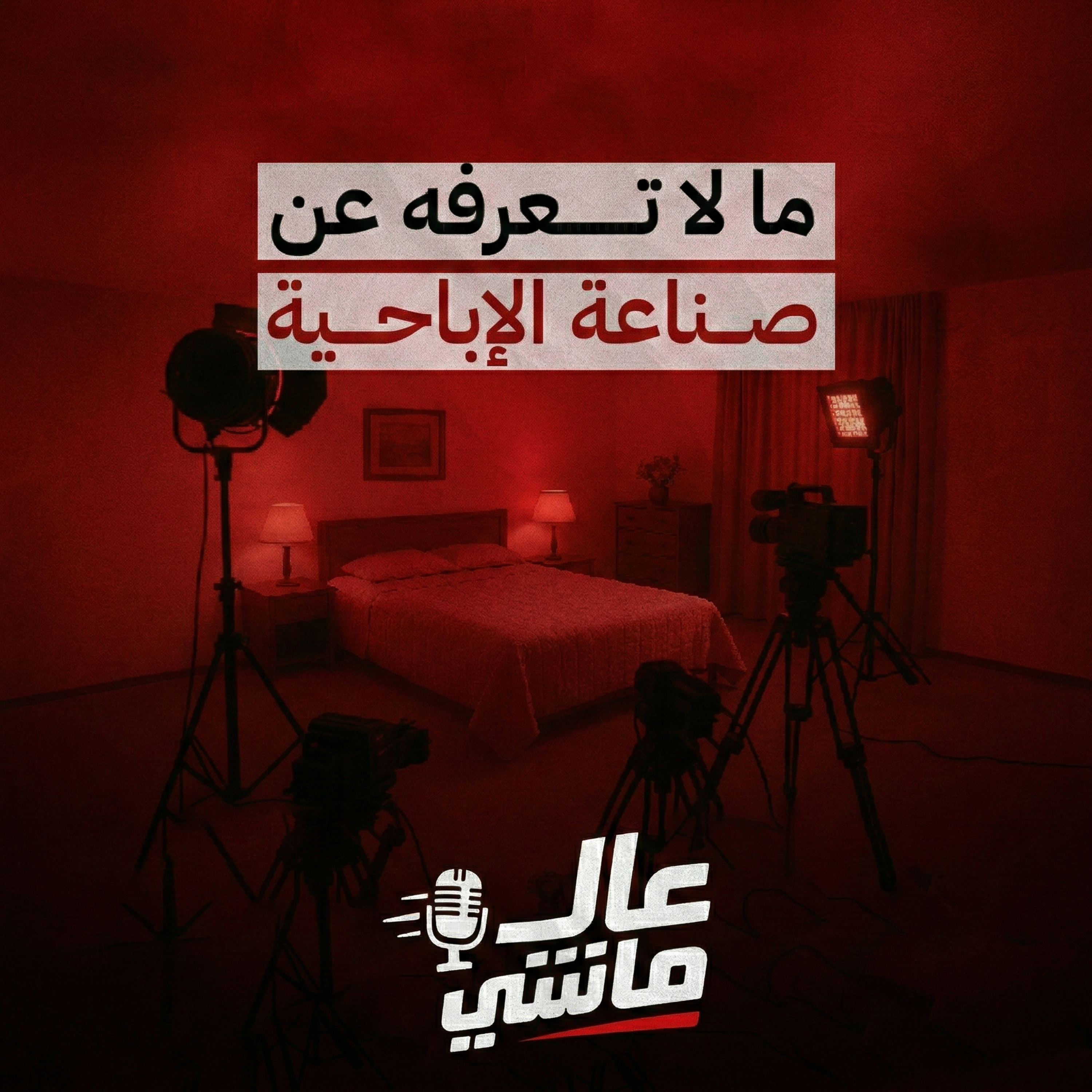 ما لا تعرفه عن صناعة الإباحية!