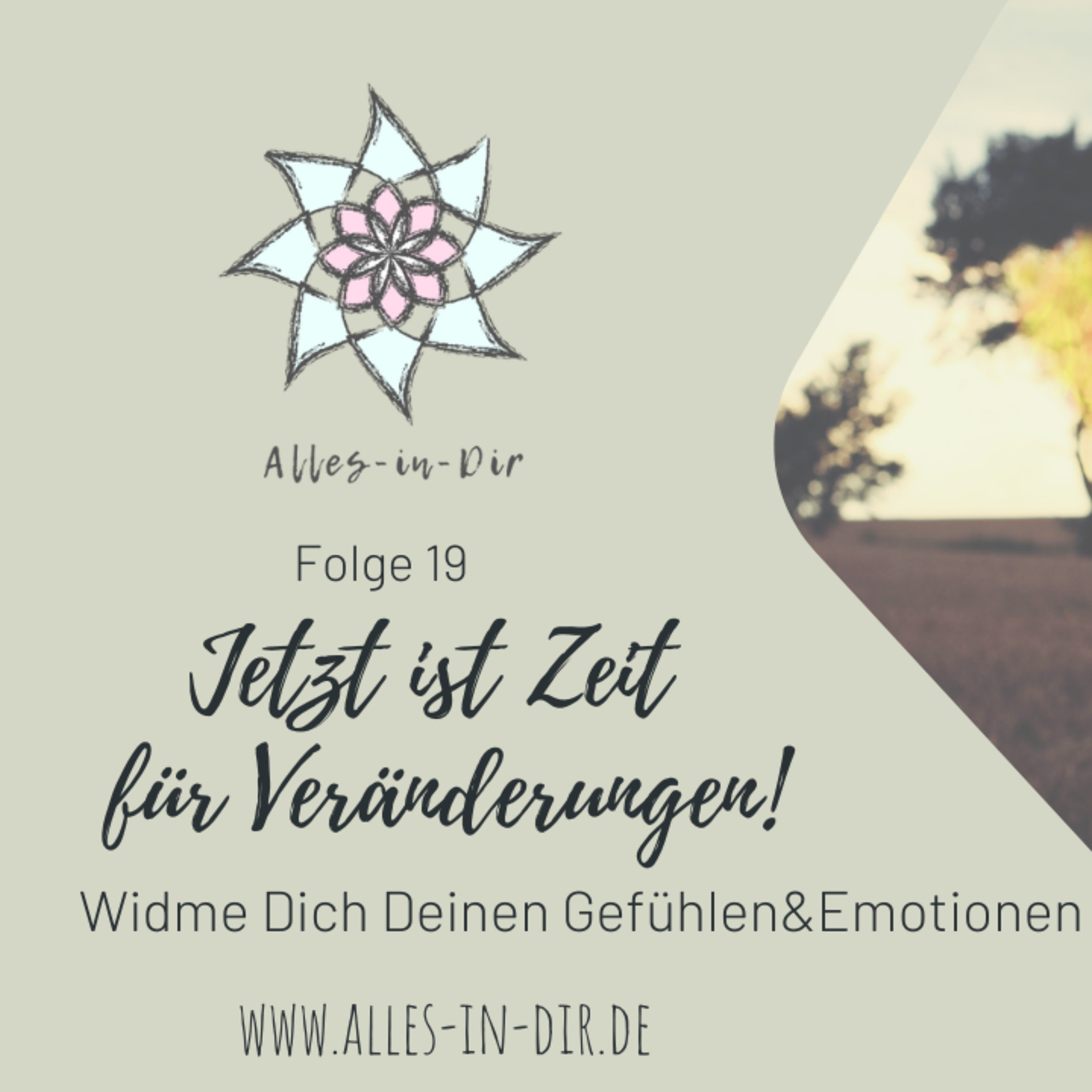 Alles-in-Dir