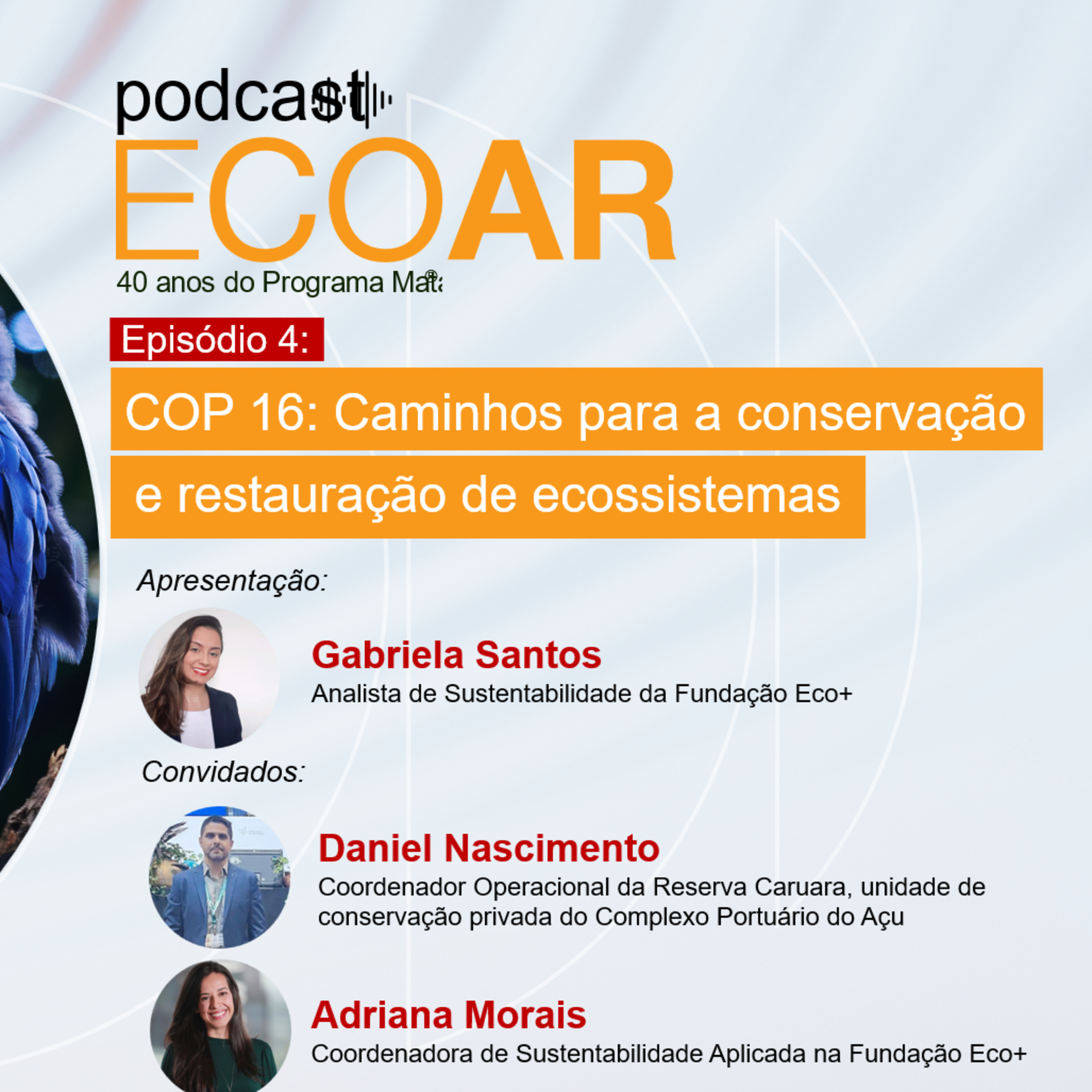 COP 16: Caminhos para a conservação e restauração de ecossistemas episode artwork