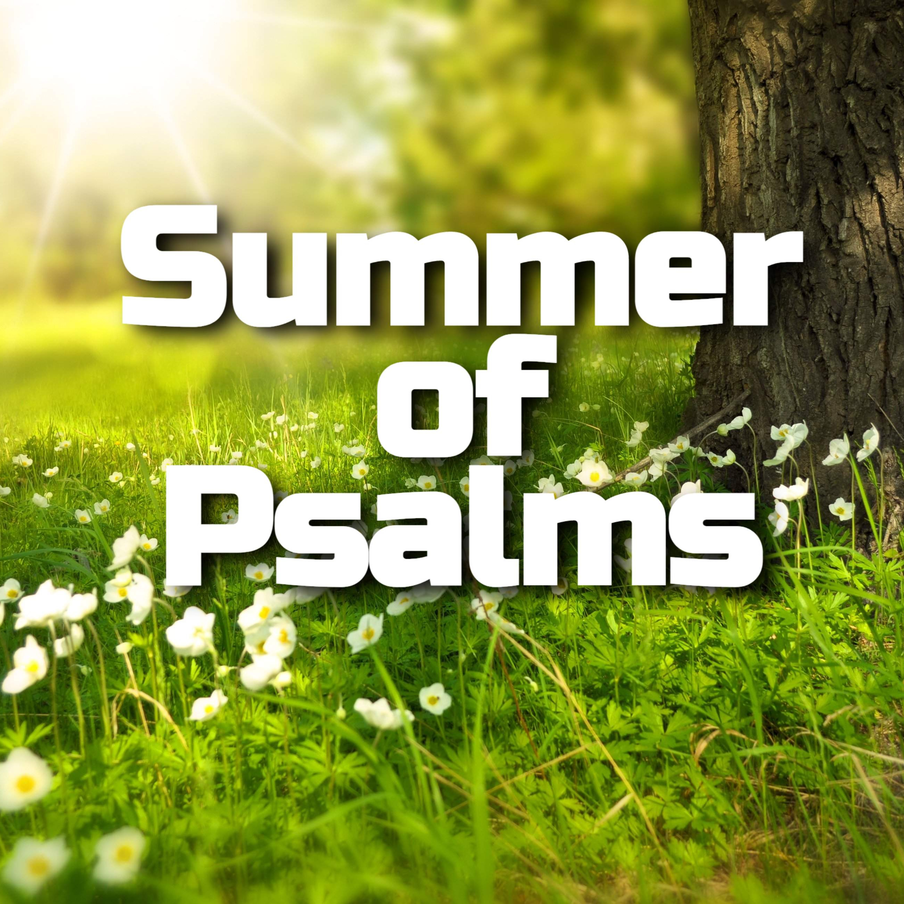 Psalm 1 - The Gifts of a Blessed Life episode artwork