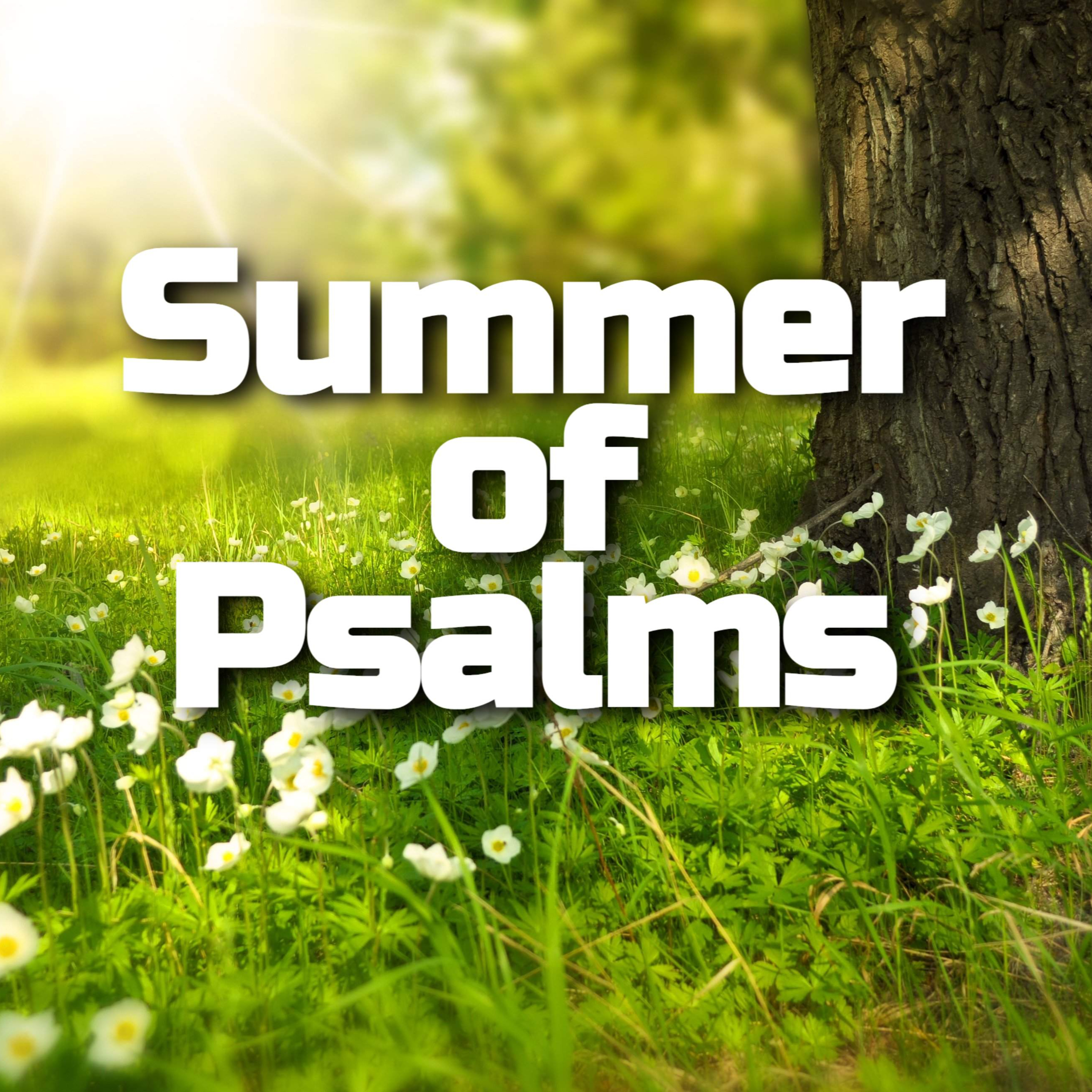Psalm 42-43 - Finding renewed Hope when my soul is downcast - Harry Stoliker episode artwork
