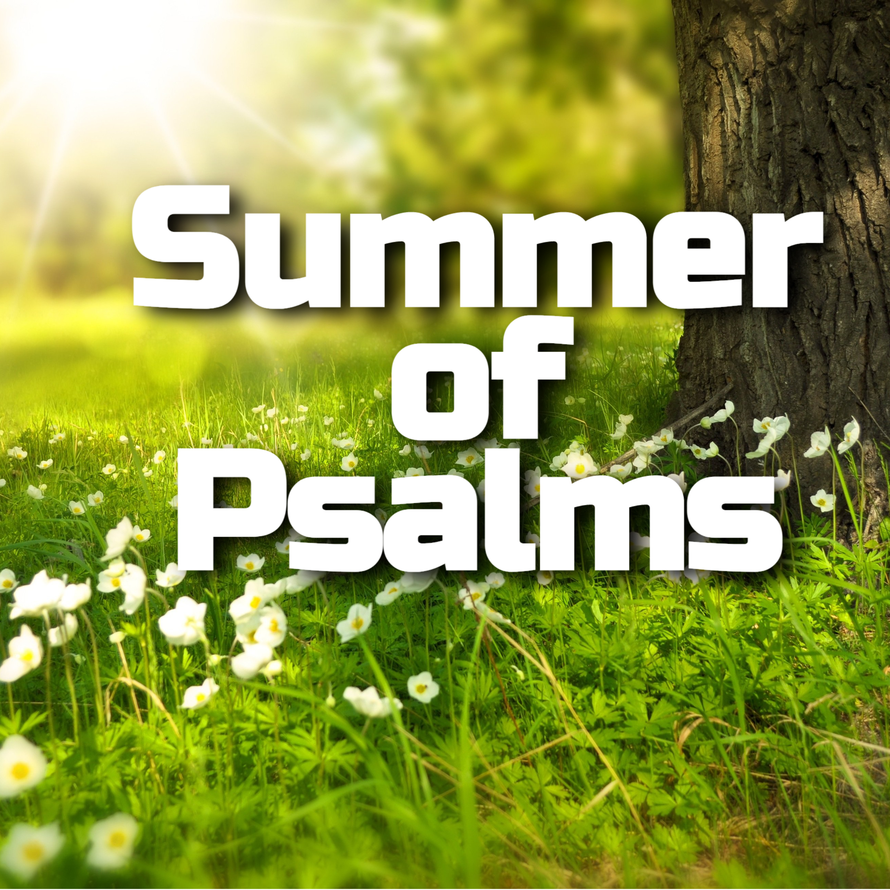 Psalm 119 - Authority - Scott Werthman  episode artwork