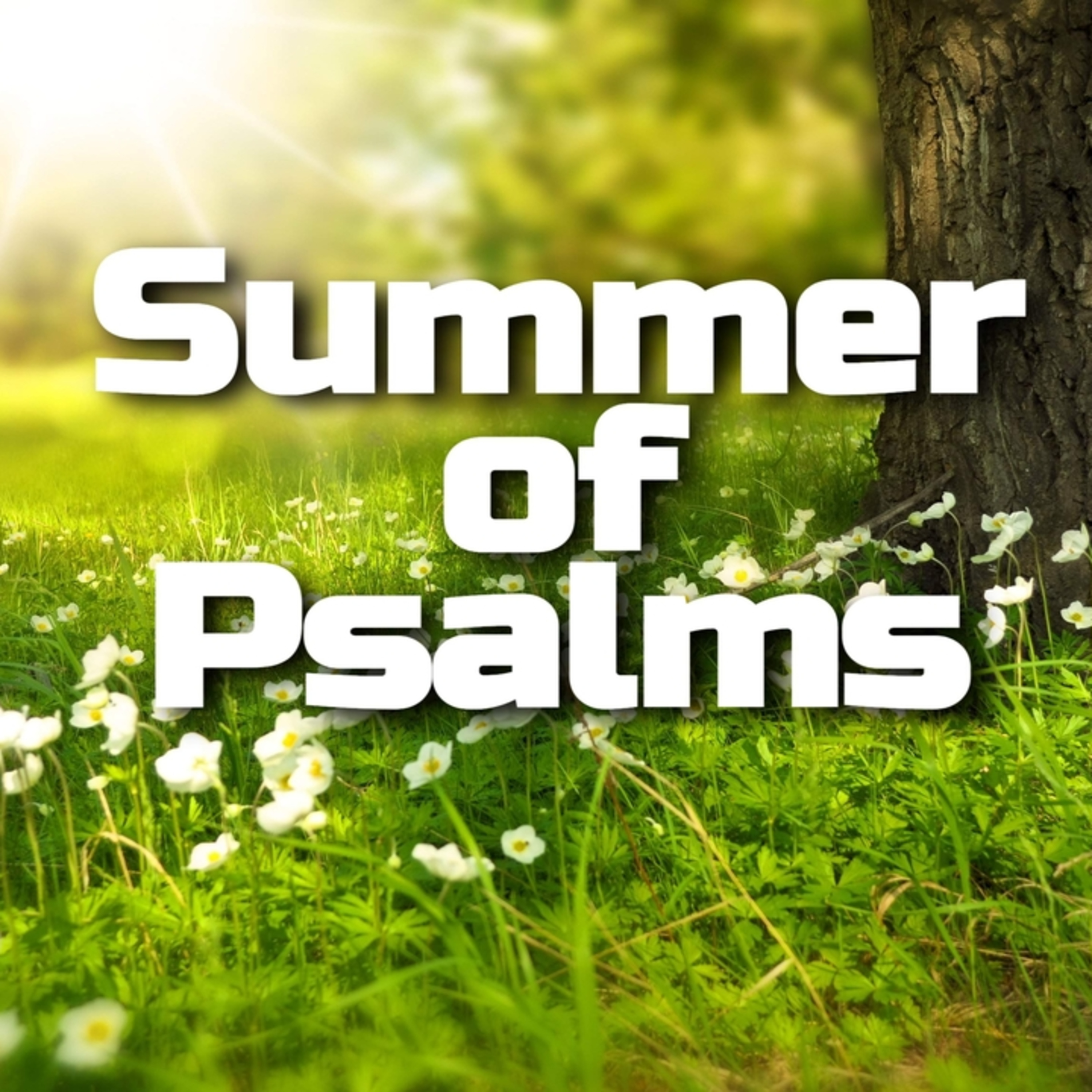 Psalm 150 - Hallelujah! Praise the Lord! - Dr. Chris Jordan episode artwork
