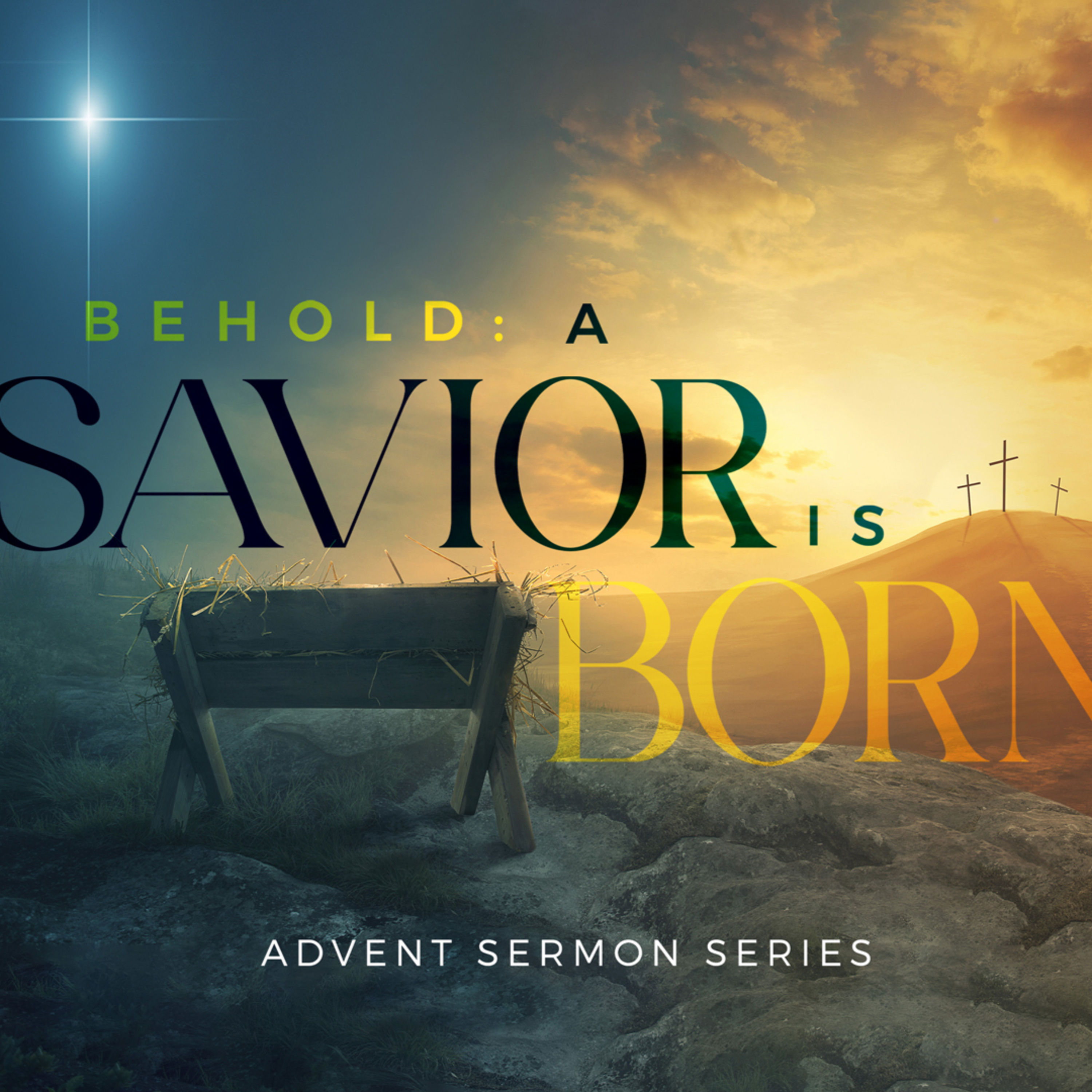 The Promised Hope - Isaiah 7:14, Isaiah 53:5 episode artwork