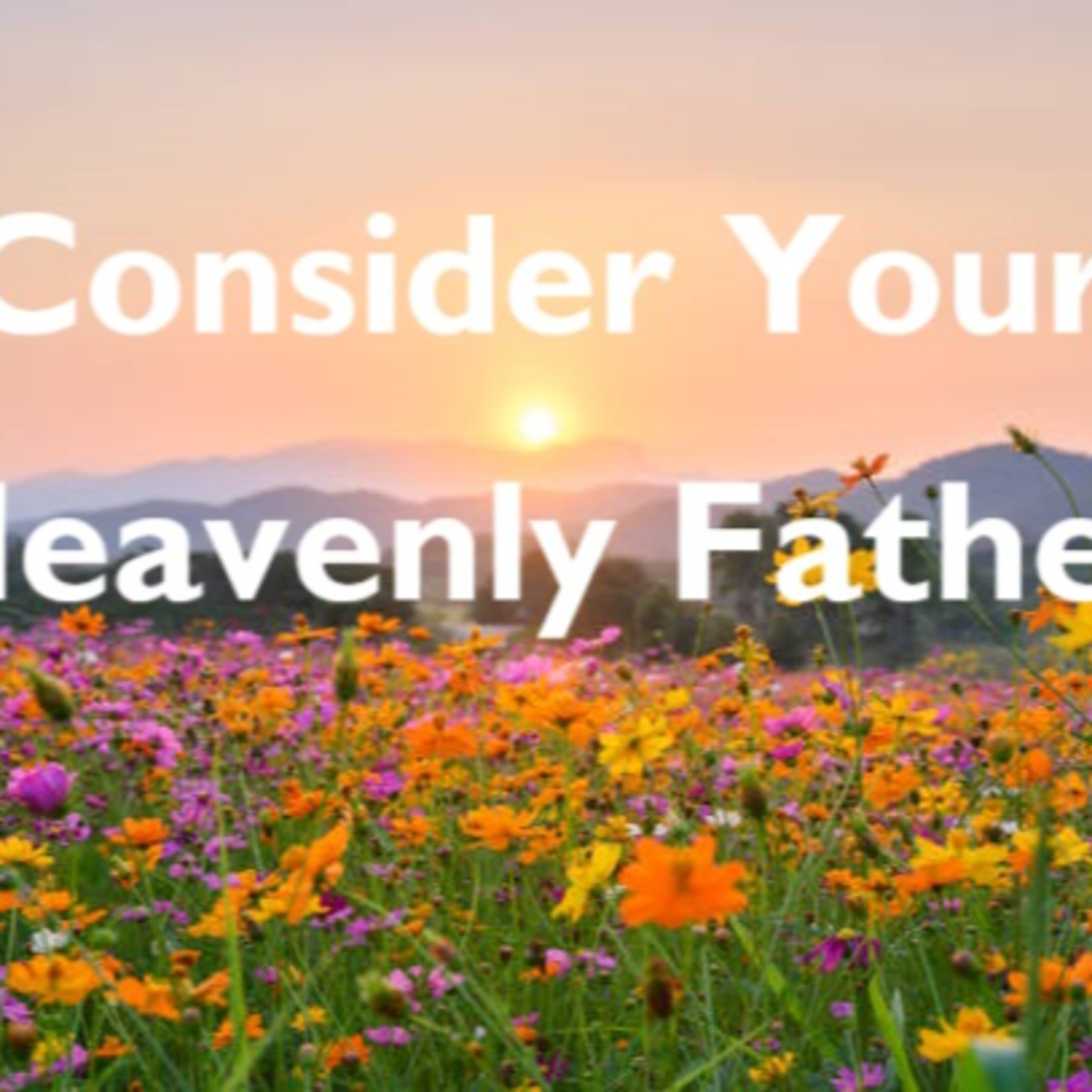 Consider Your Heavenly Father - Matthew 6:25-34 - Malachi Kearney episode artwork