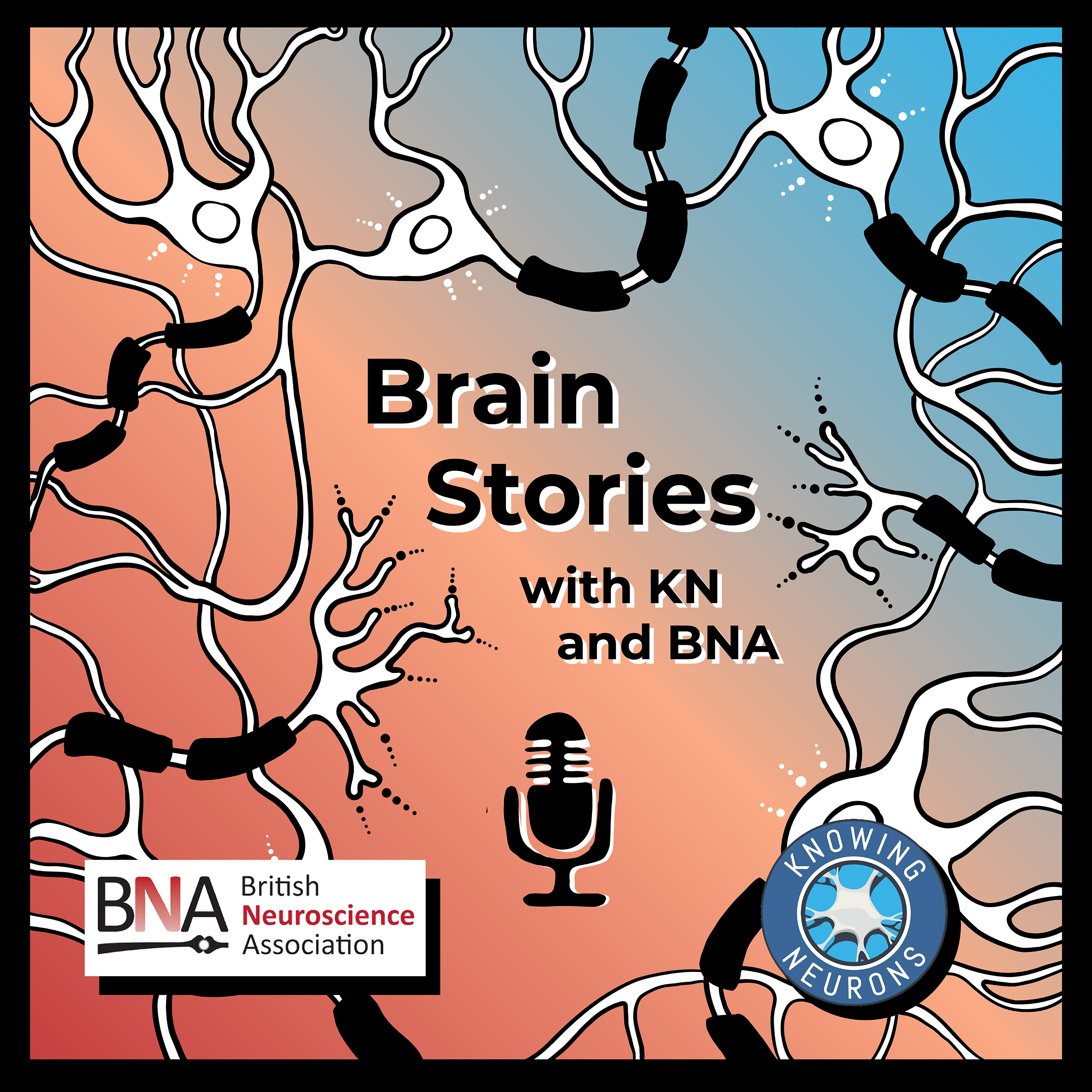 Knowing Neurons at the British Neuroscience Association conference with Dr. Kirsty McMillan