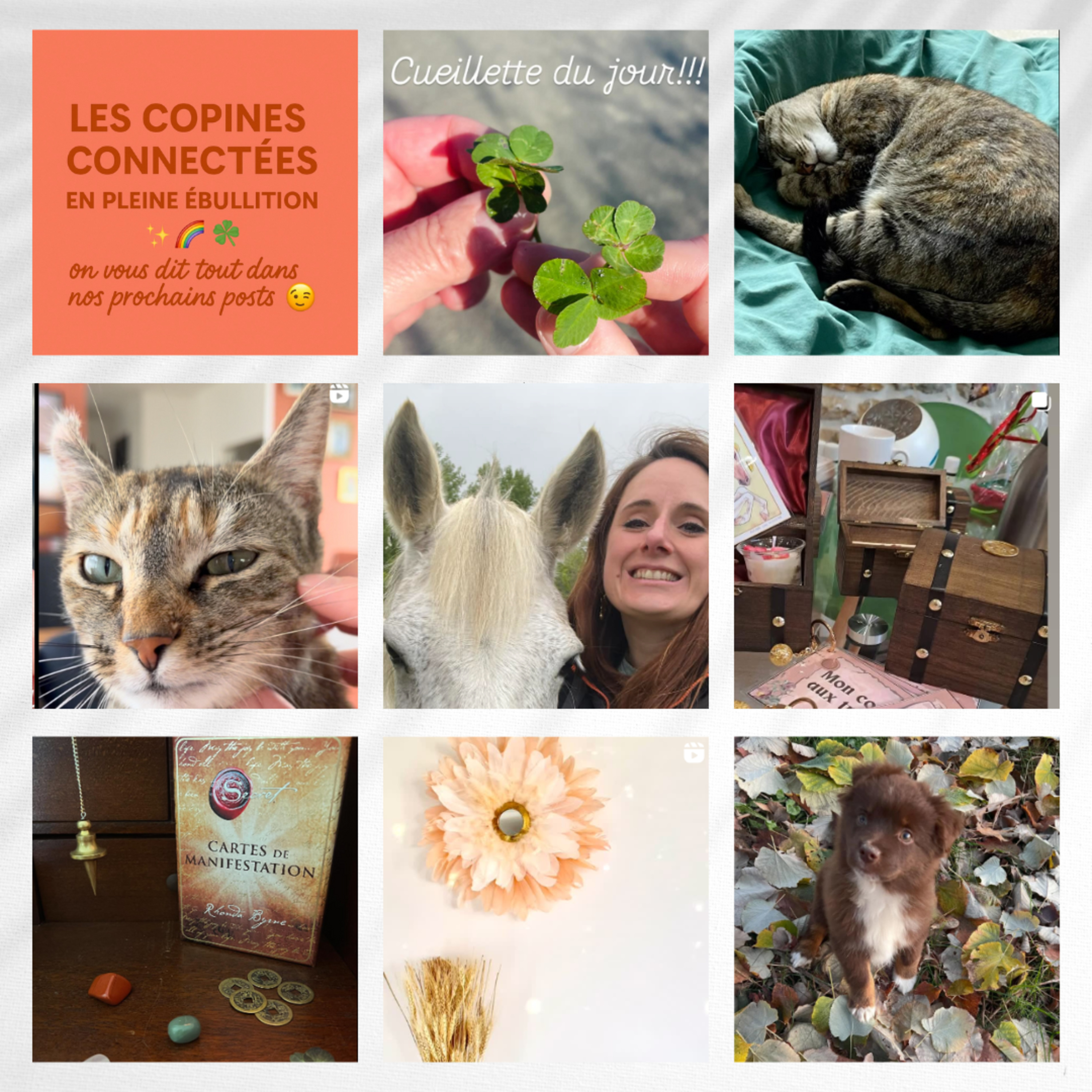 Nos amis les bêtes: communication animale avec Bénédicte