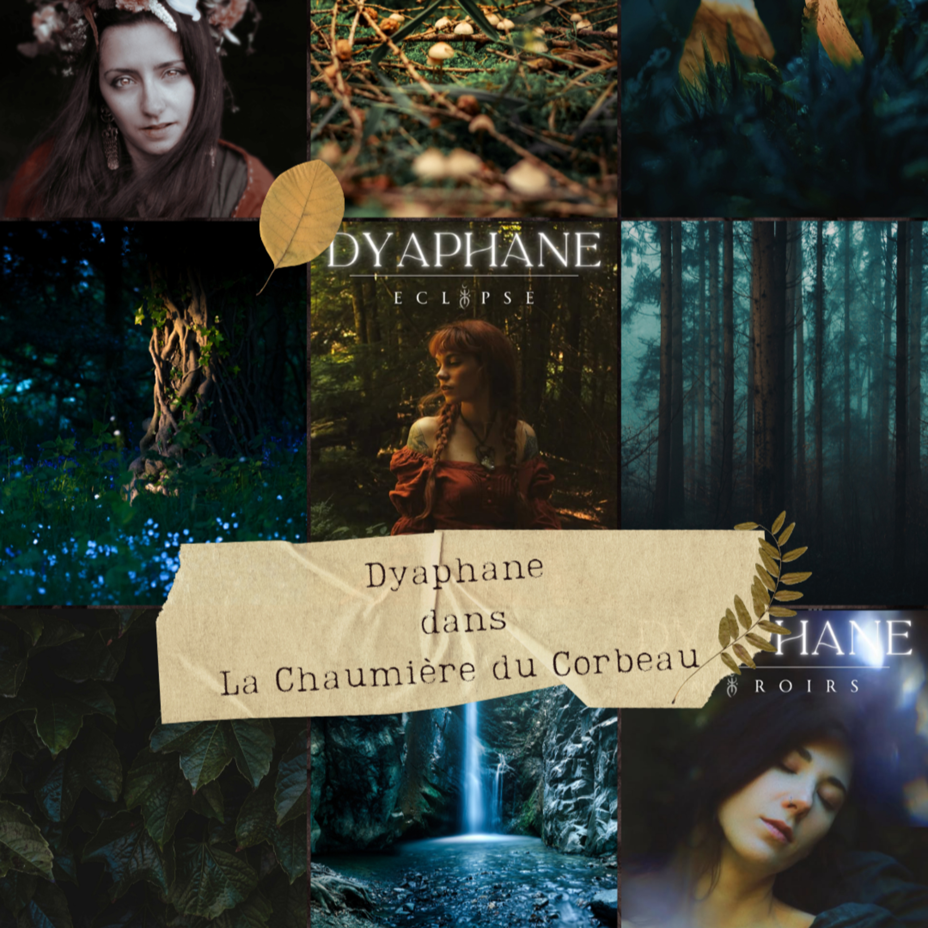 Dyaphane chez la Chaumière du Corbeau 