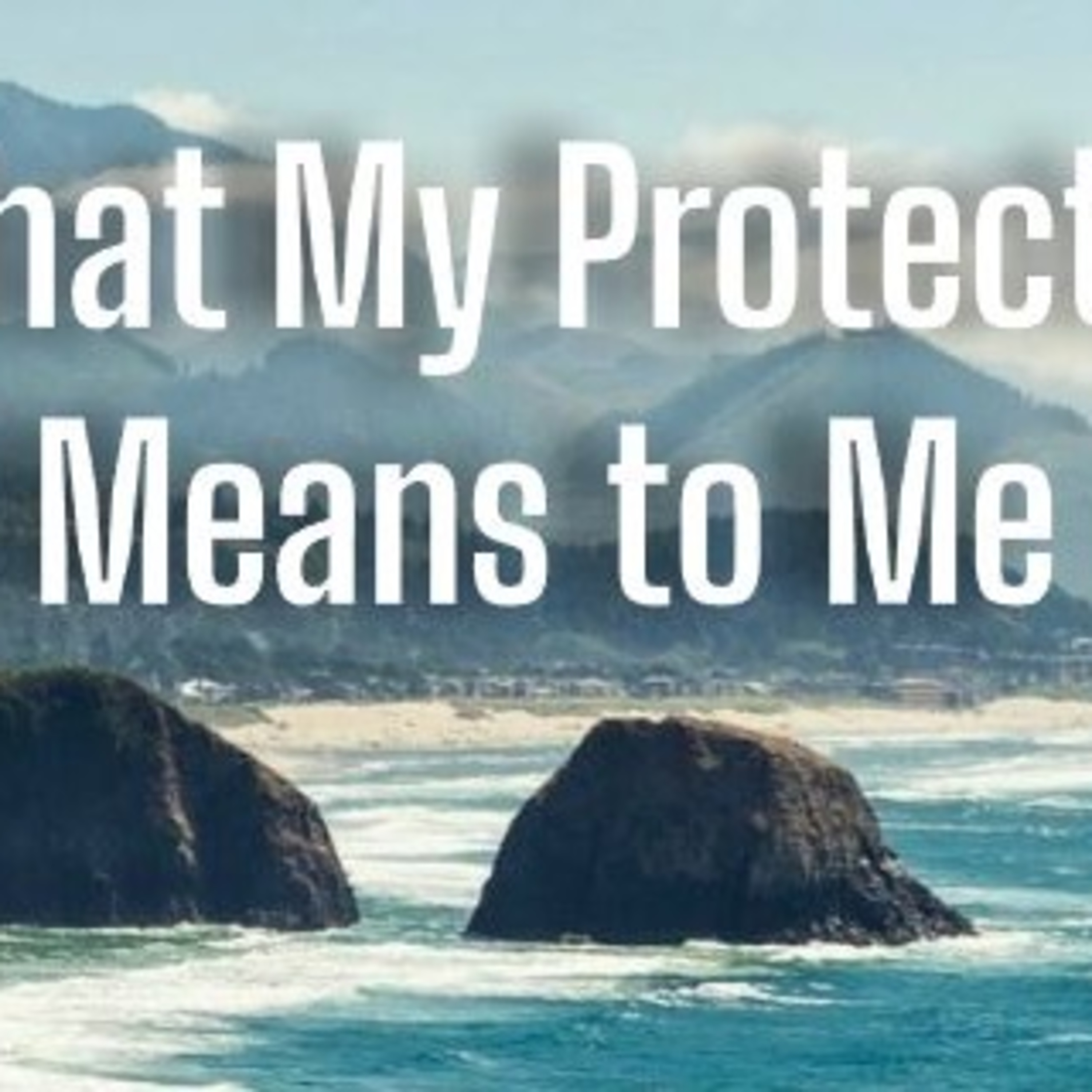 What My Protector Means to Me - What His Rescue and Keeping Mean to Me