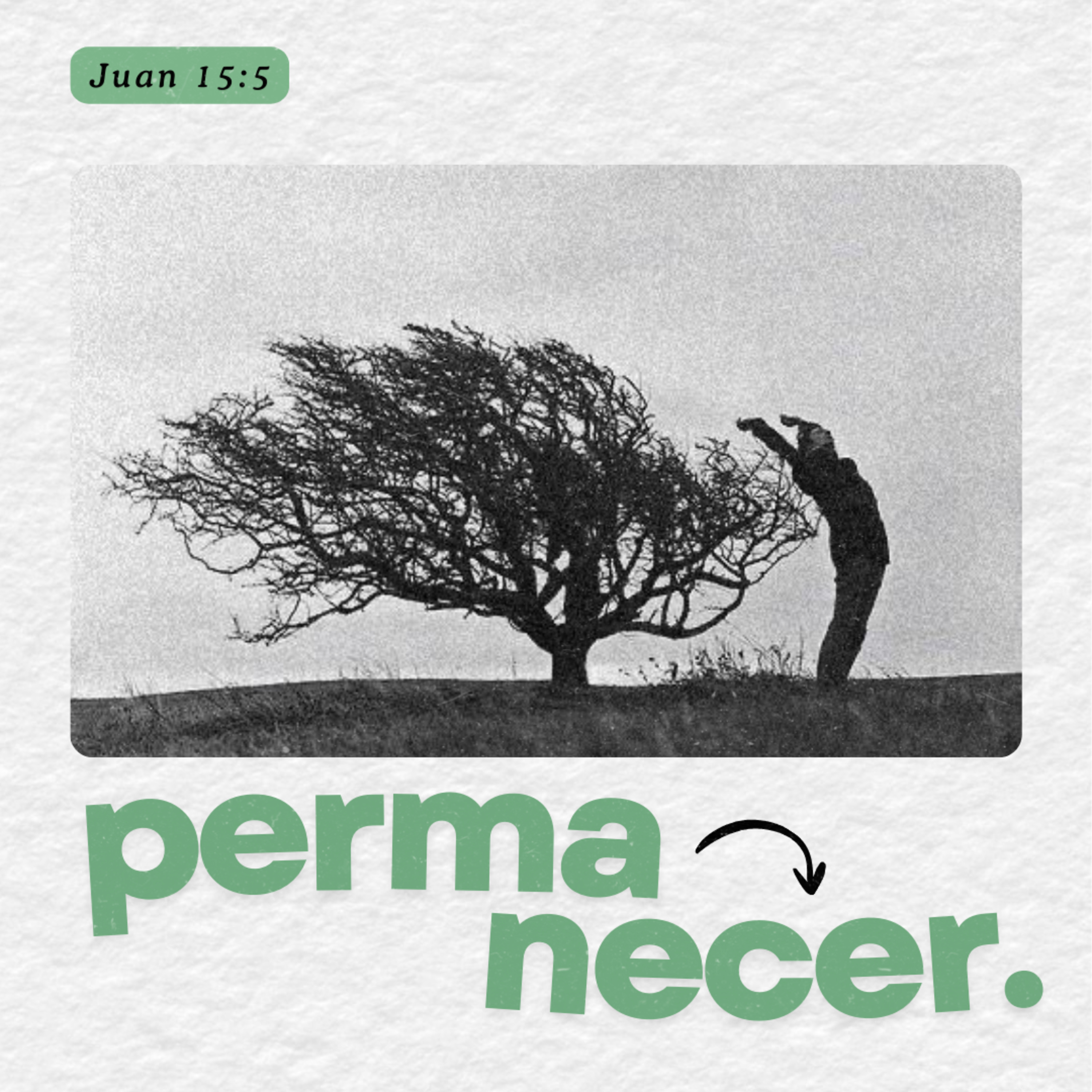 PERMANECER episode artwork