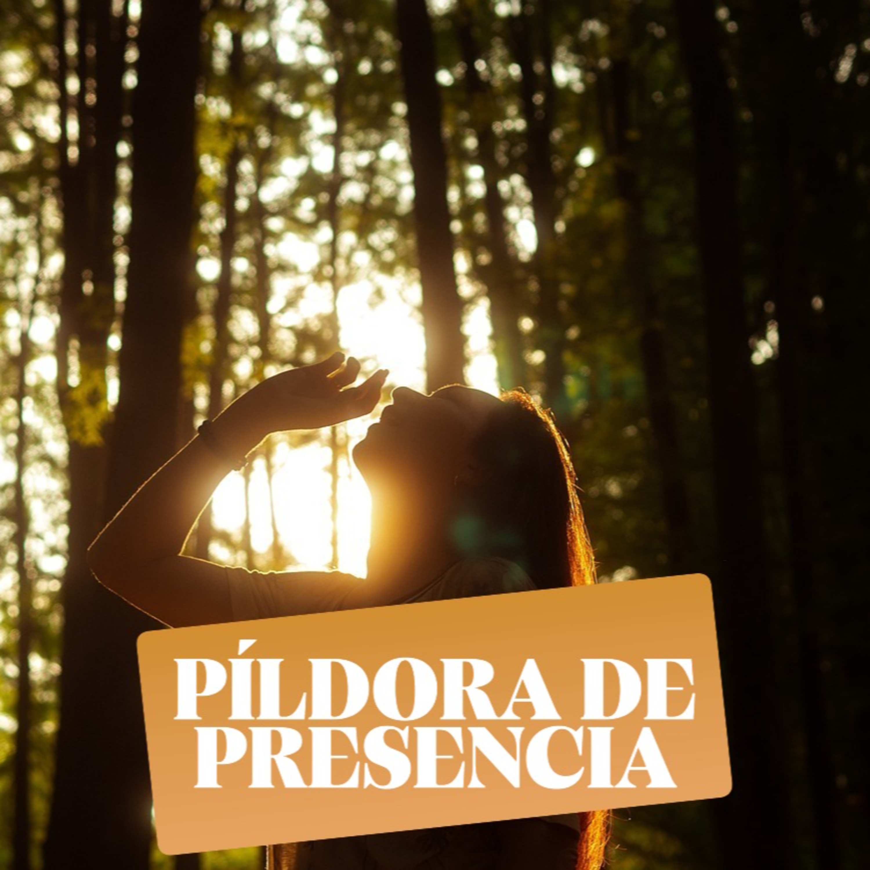 Reconexión interior | Píldora de presencia episode artwork