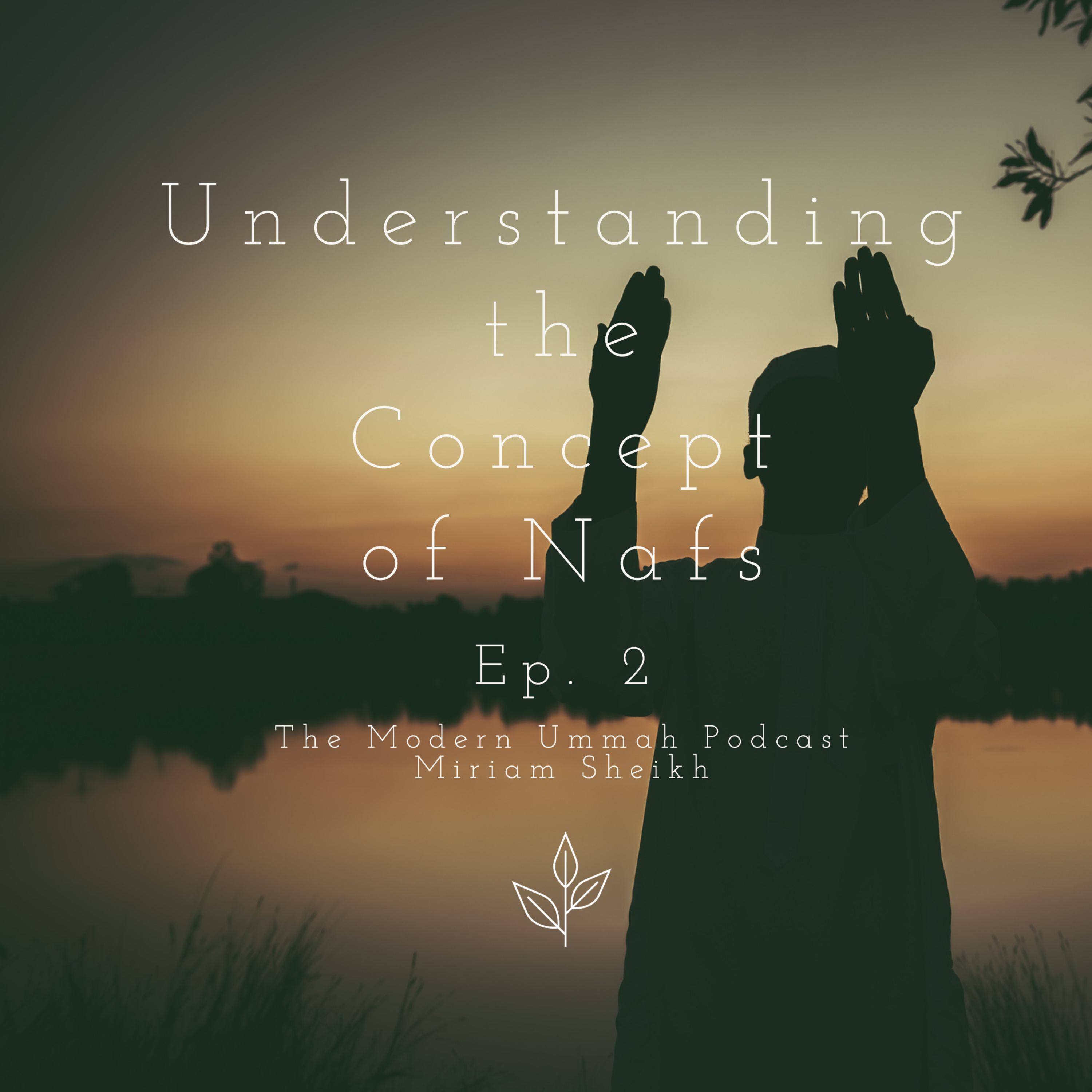 Understanding the Concept of Nafs