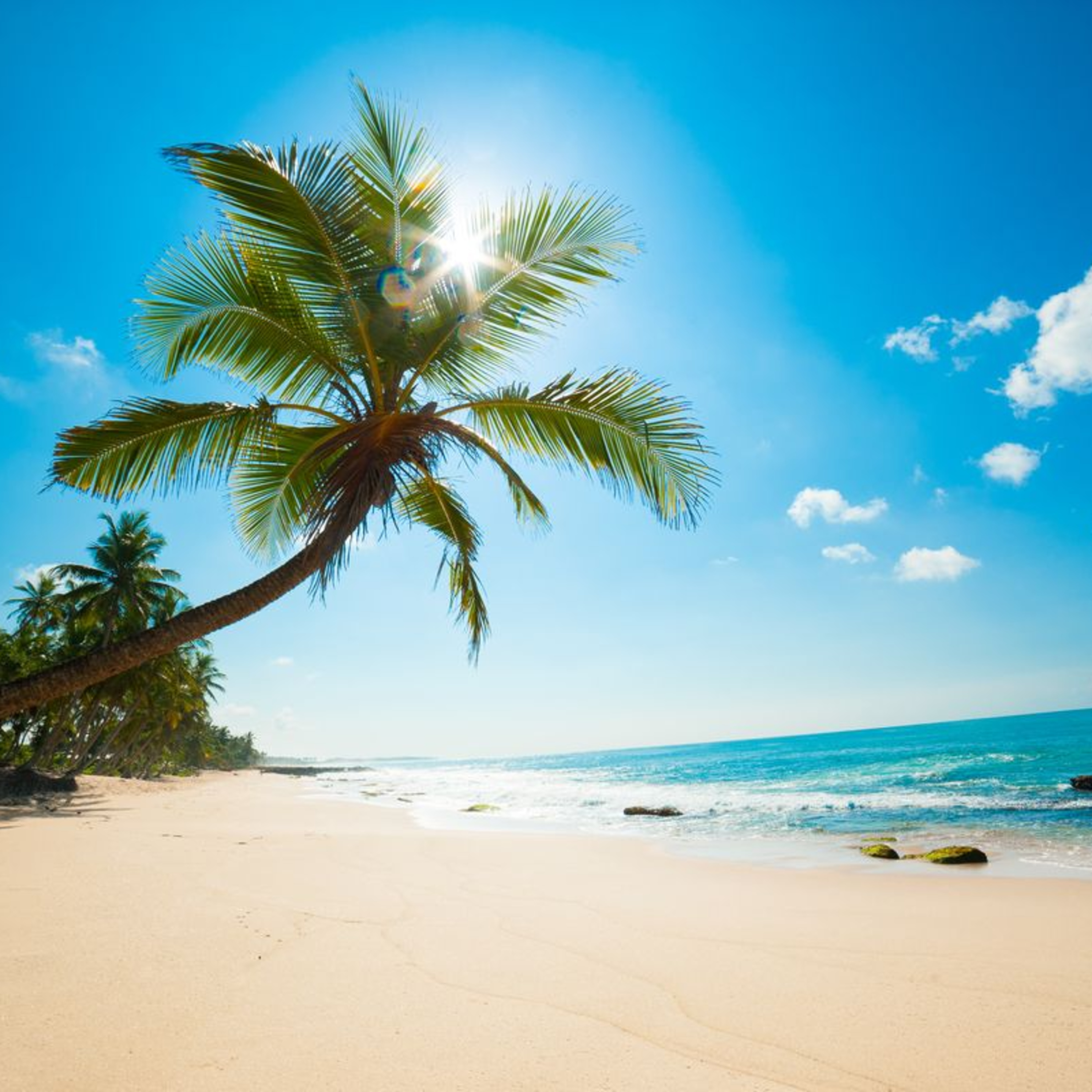 #166 Review Eté 2023