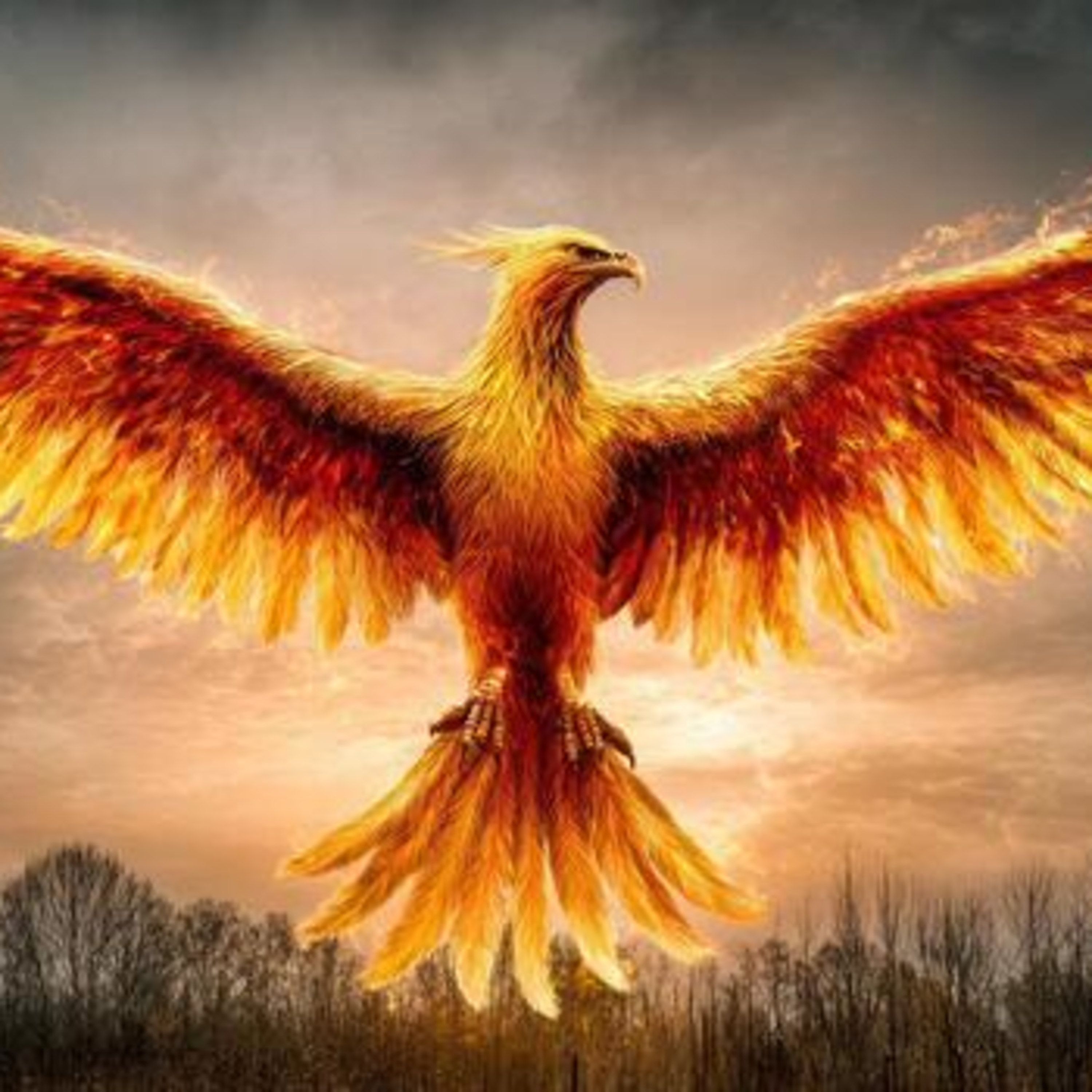 #183 : Le Phoenix !