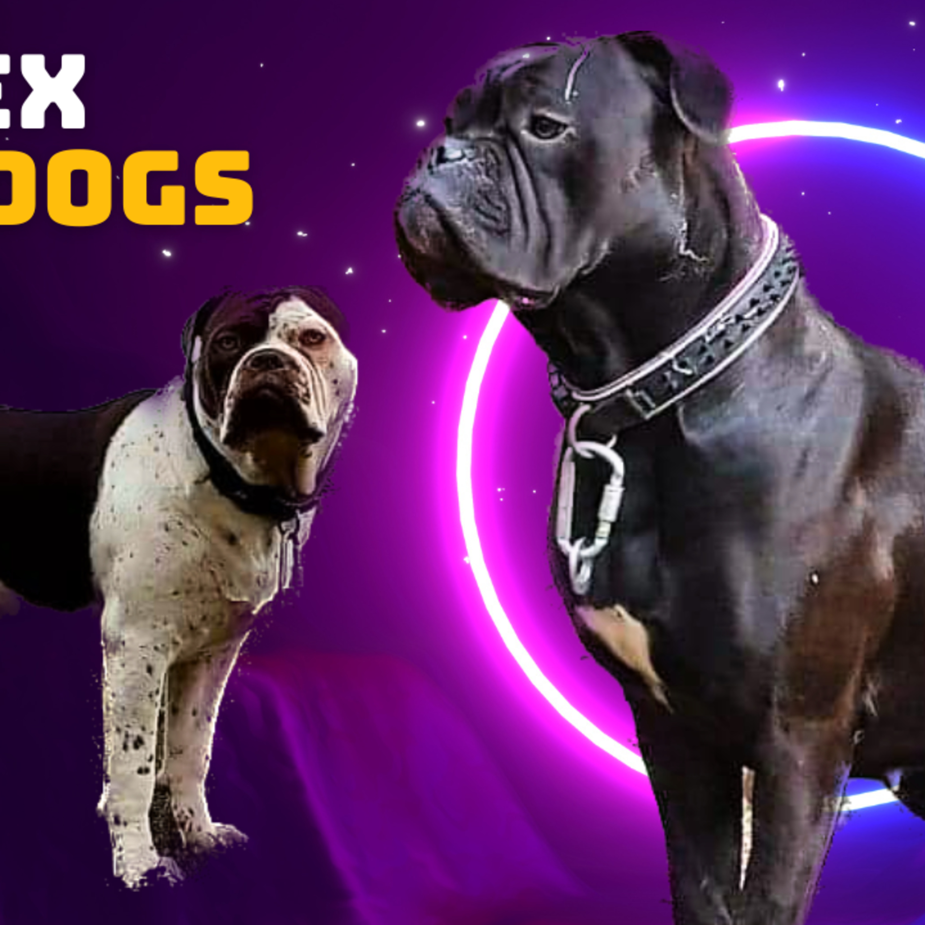 ***Remix*** Episode 18: Sussex Bulldog owner Tracy Davenport episode artwork