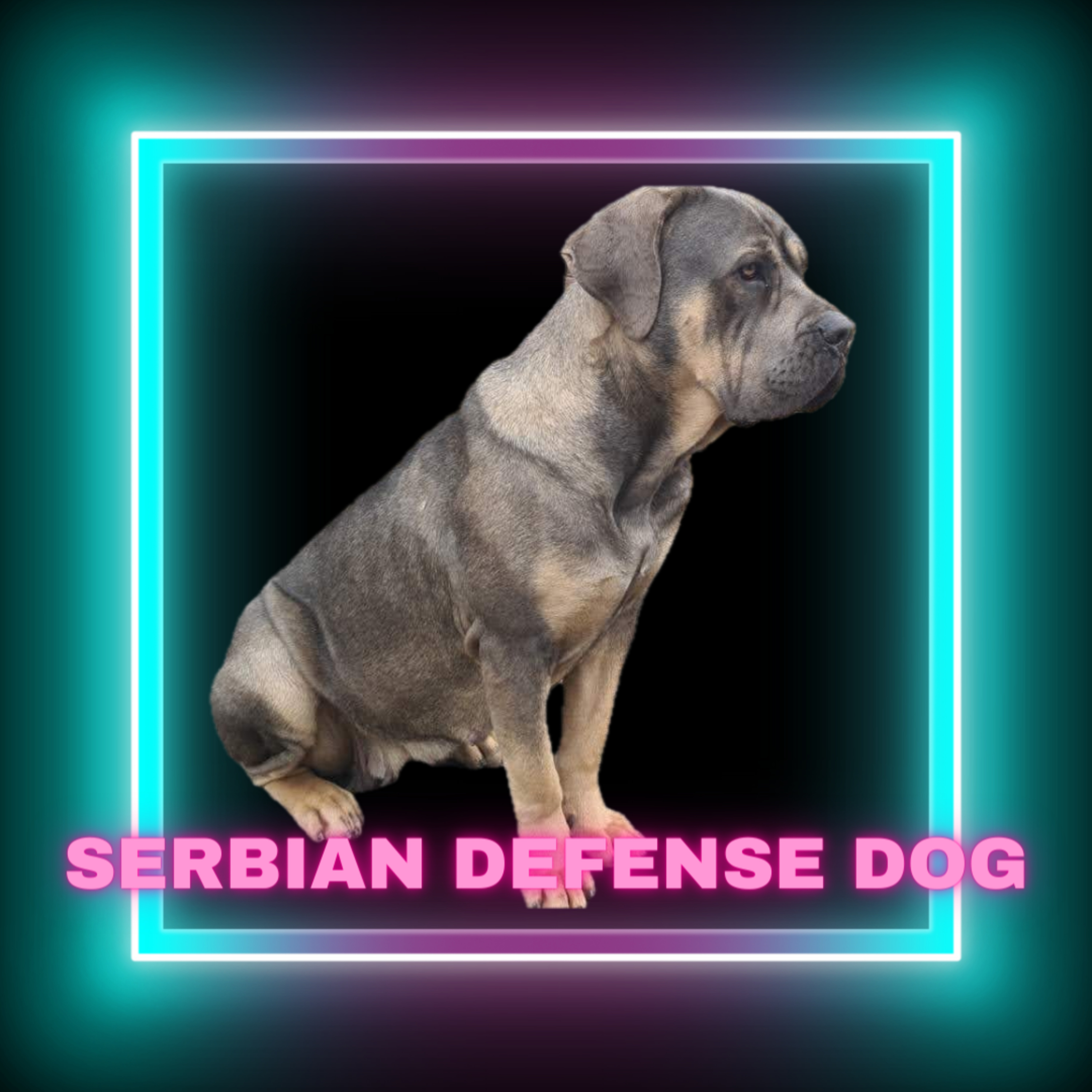 ***Repeat*** Episode 34: Serbian Defense Dog - Stefan Sop Dusan