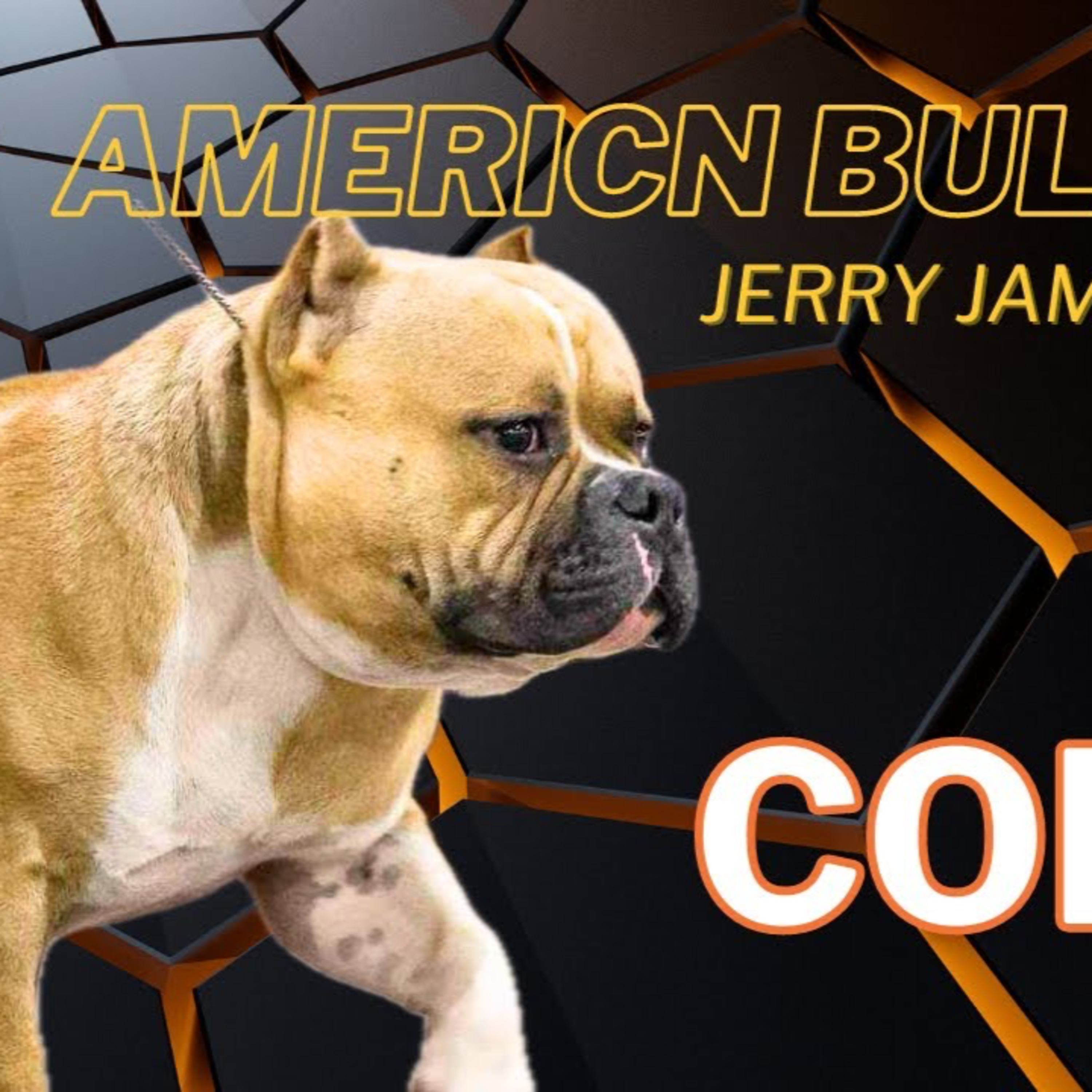 Coefficient of Inbreeding (COl) - Jerry James of Dub-Town Bullys