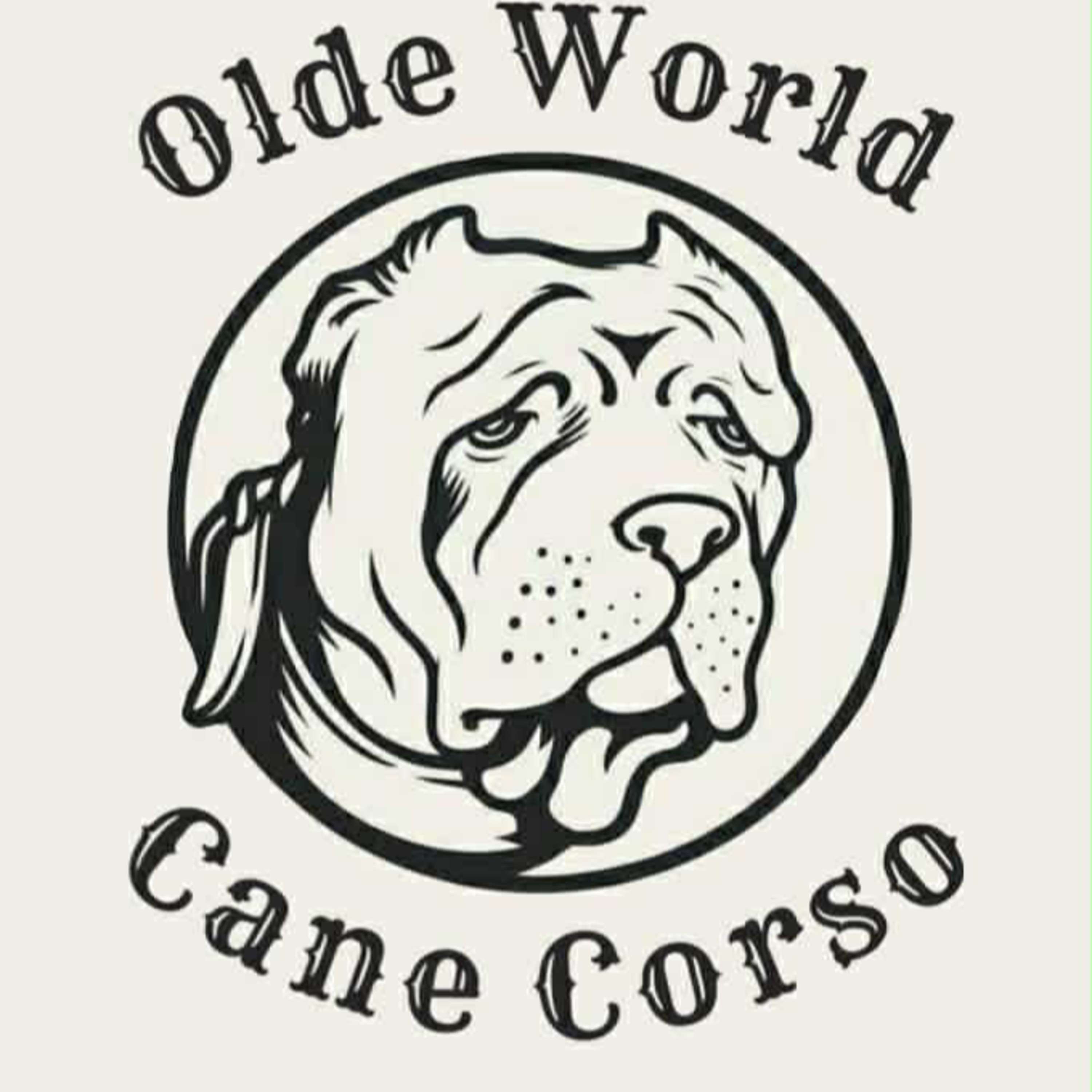 American Cane Corso - David Wenrich from Olde World Cane Corso (1 of 2) episode artwork
