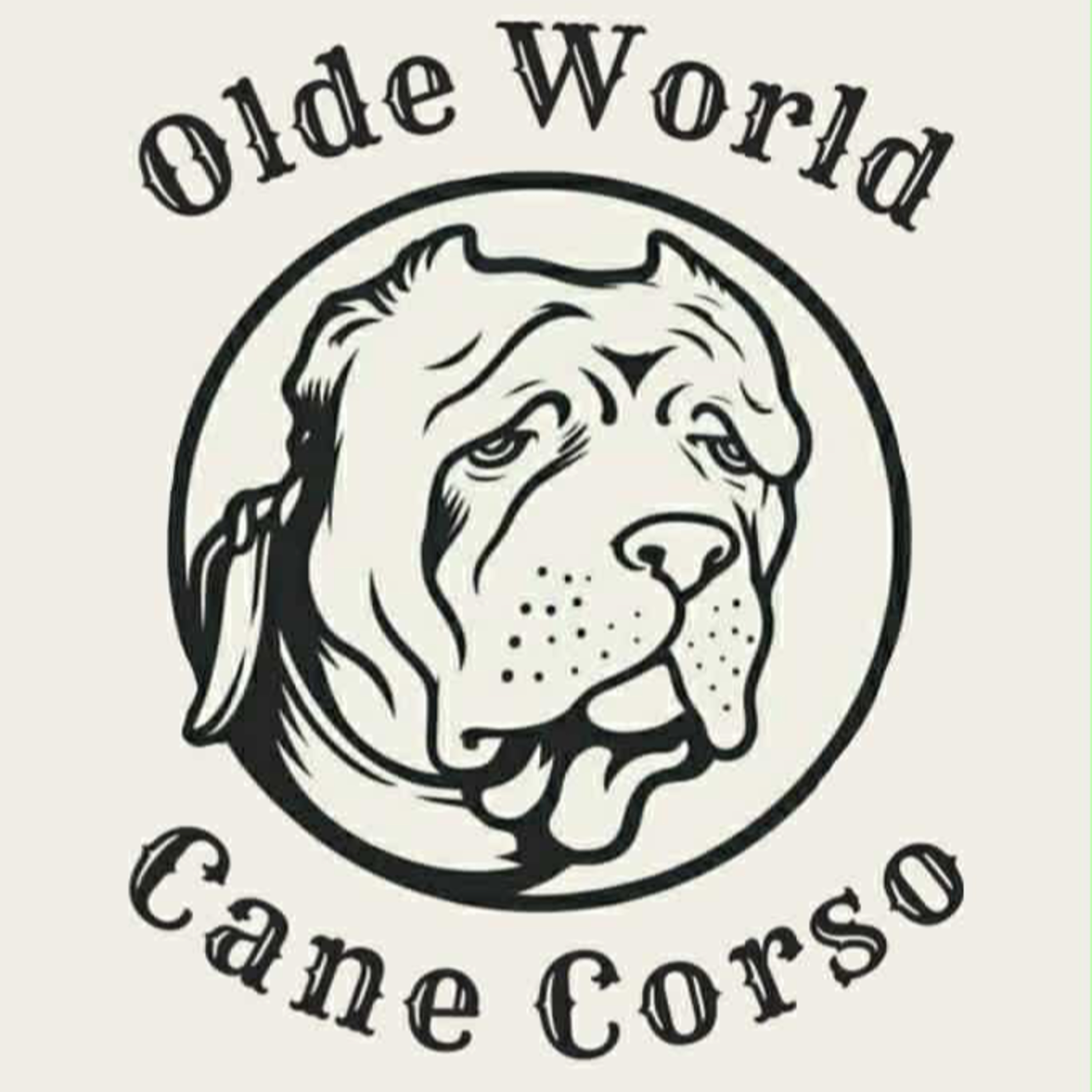 American Cane Corso - David Wenrich from Olde World Cane Corso (2 of 2) episode artwork