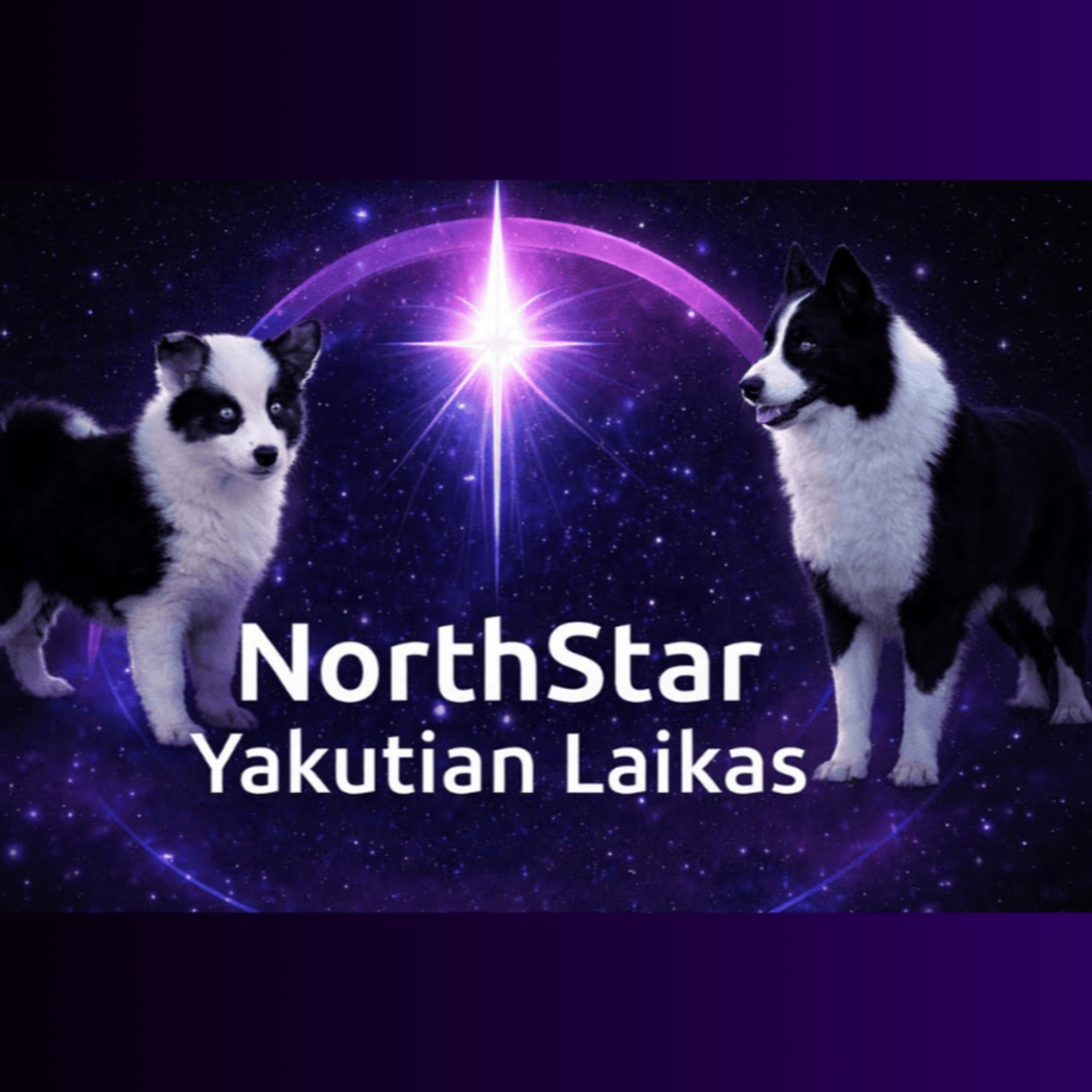 Yakutian Laikas with Carrie Smith (Northstar) | How It All Started (1 of 2)