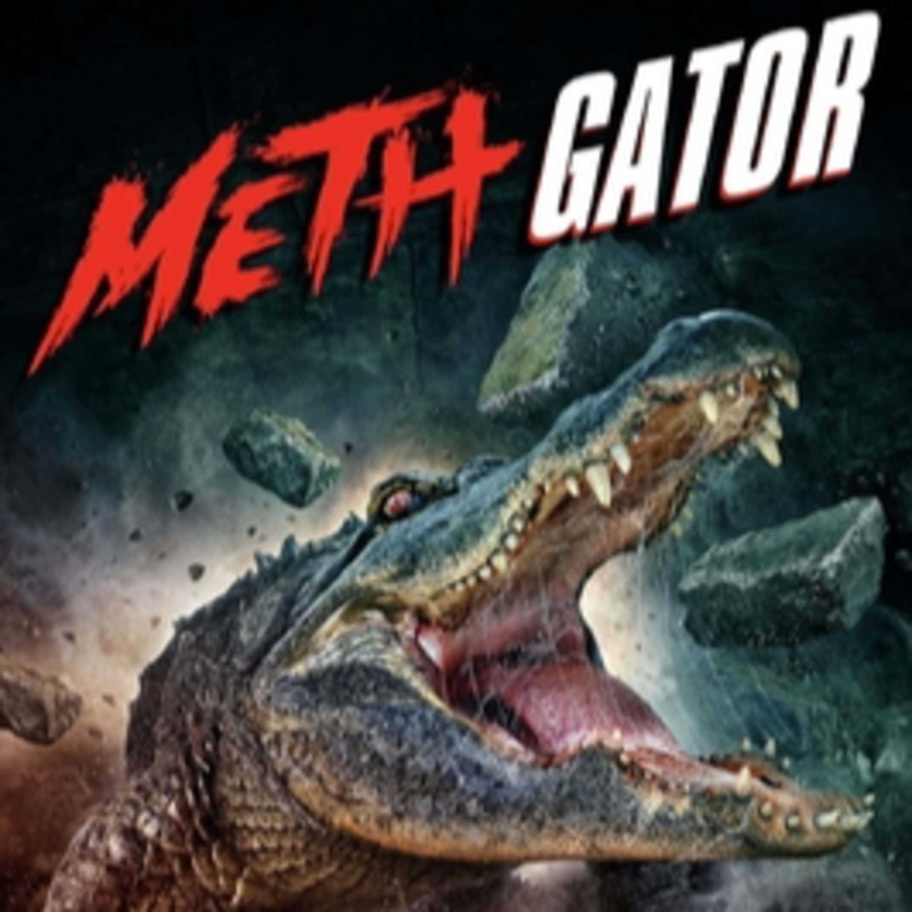 6.23 Meth Gator (2023)