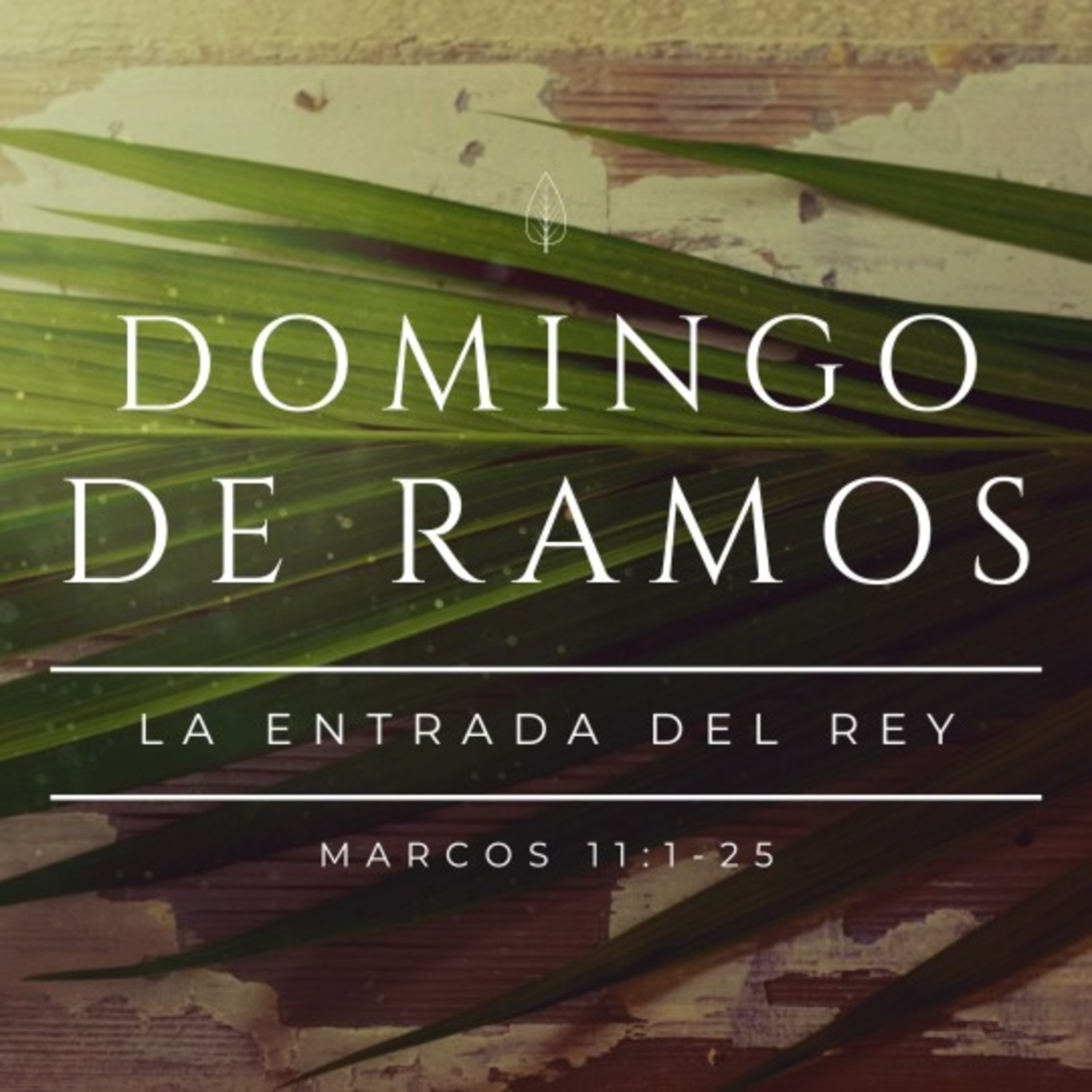 Portada de Cordero De Dios