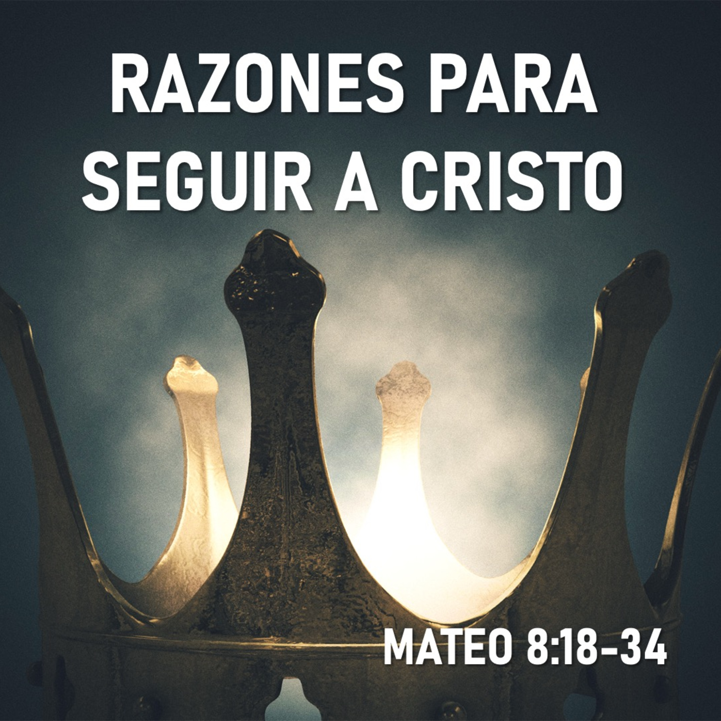 Cordero De Dios