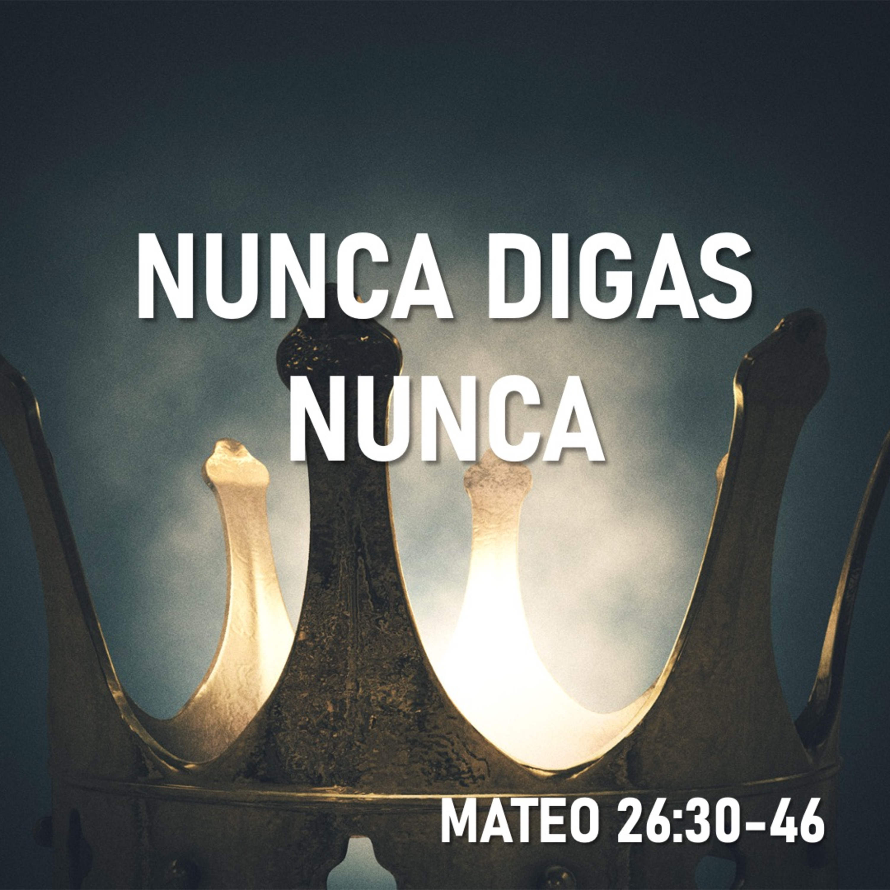 Nunca digas nunca episode artwork