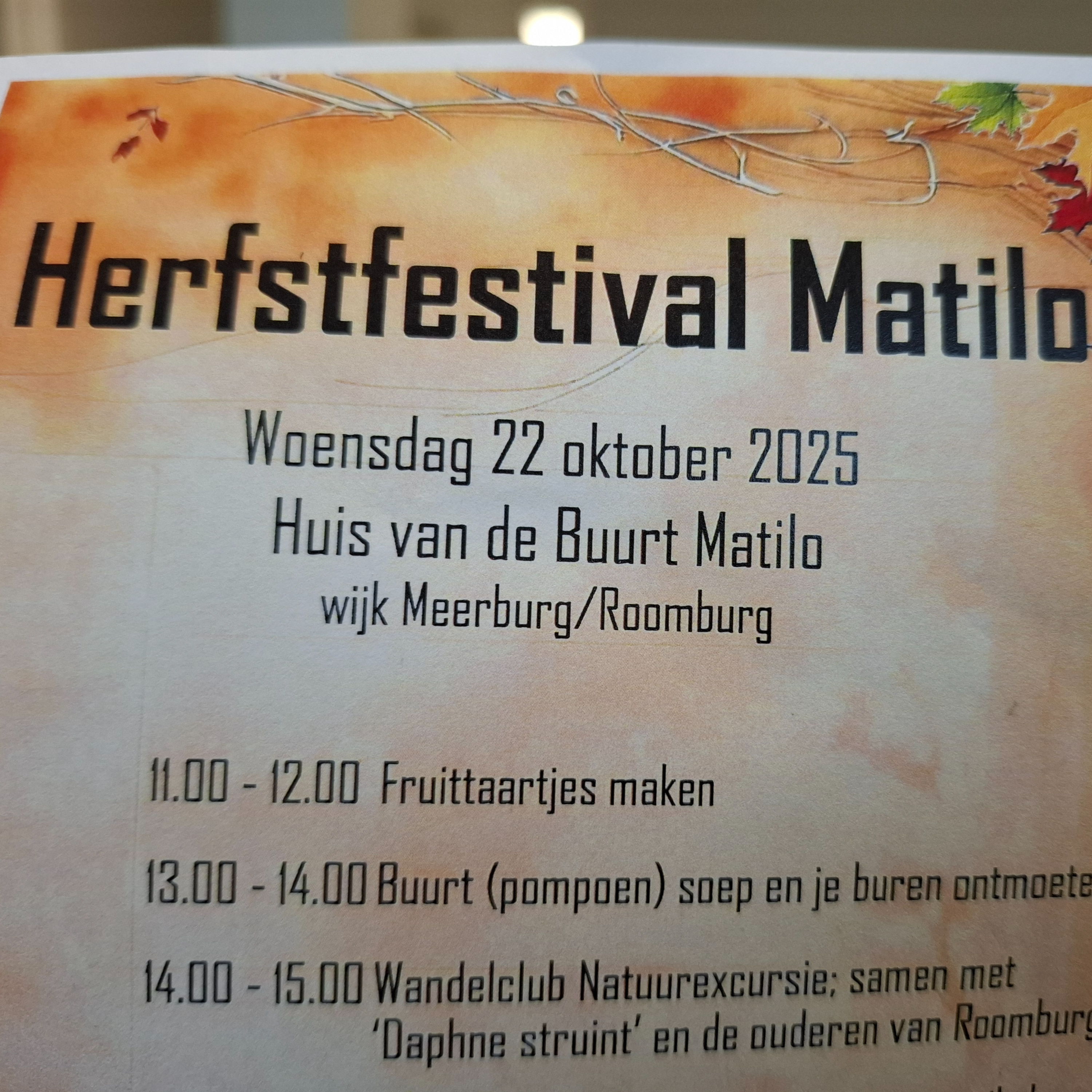 #529 Herfstfestival in Leids buurthuis Matilo episode artwork