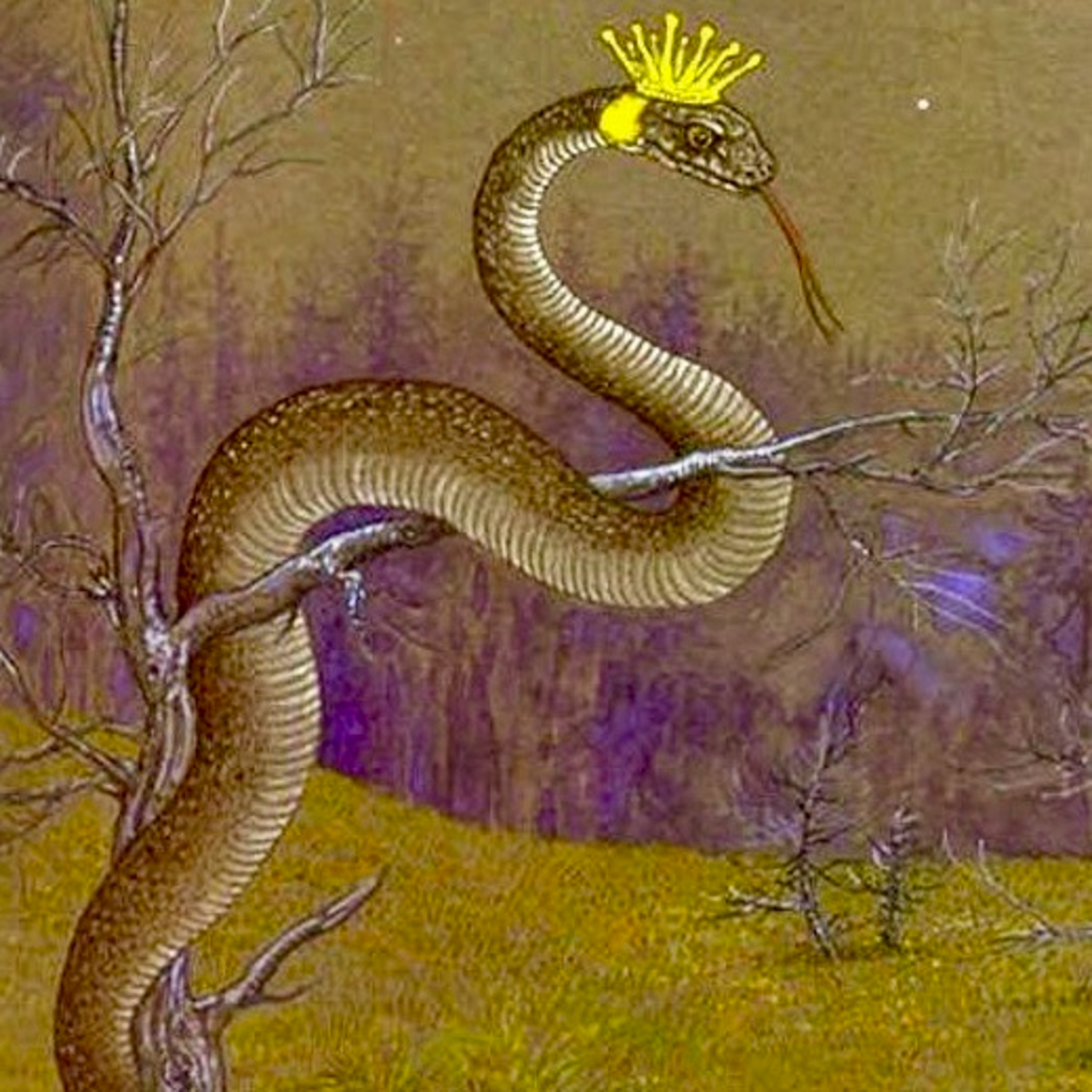 pHaeriesRReal