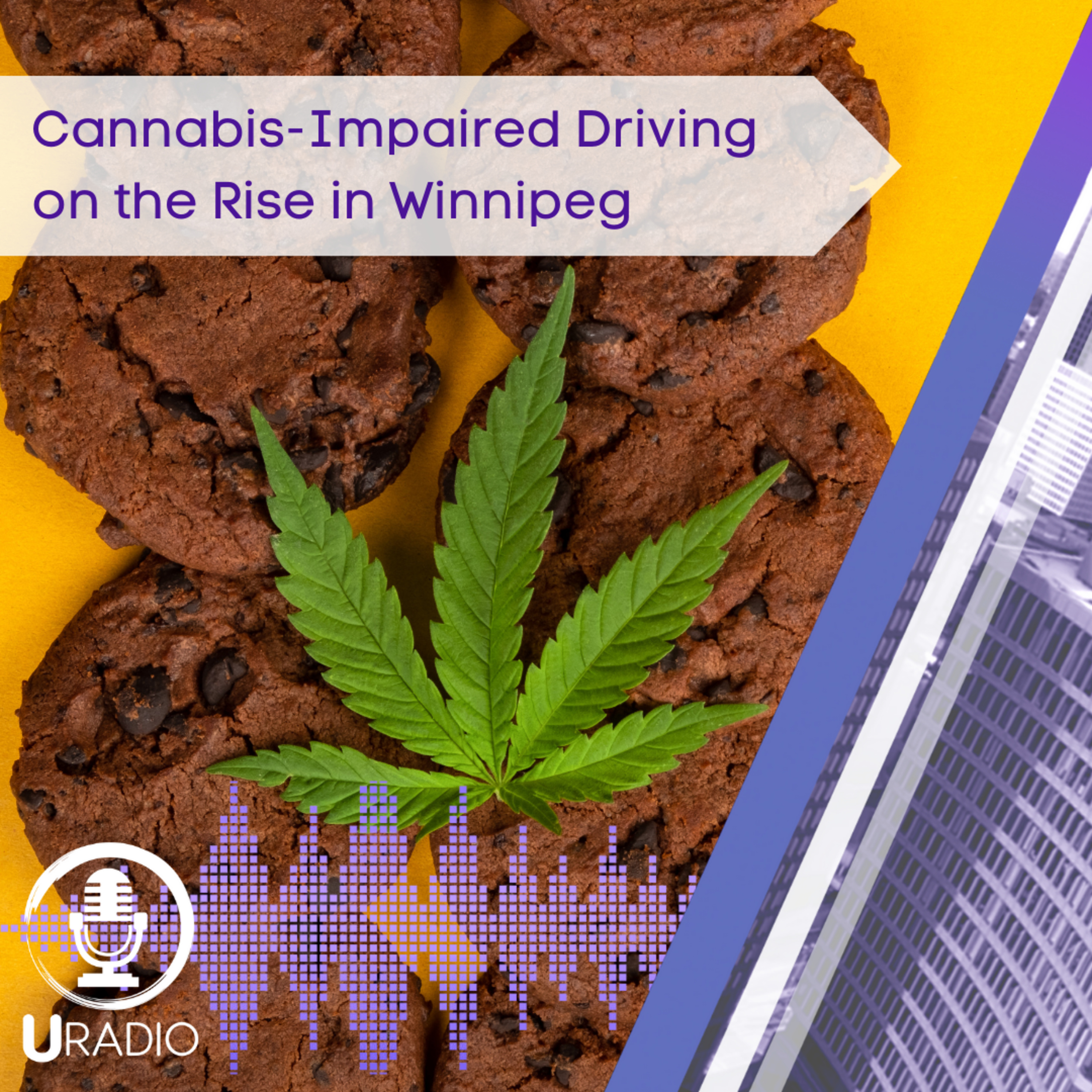 U Radio News: Cannabis-Impaired Driving on the Rise in Winnipeg episode artwork