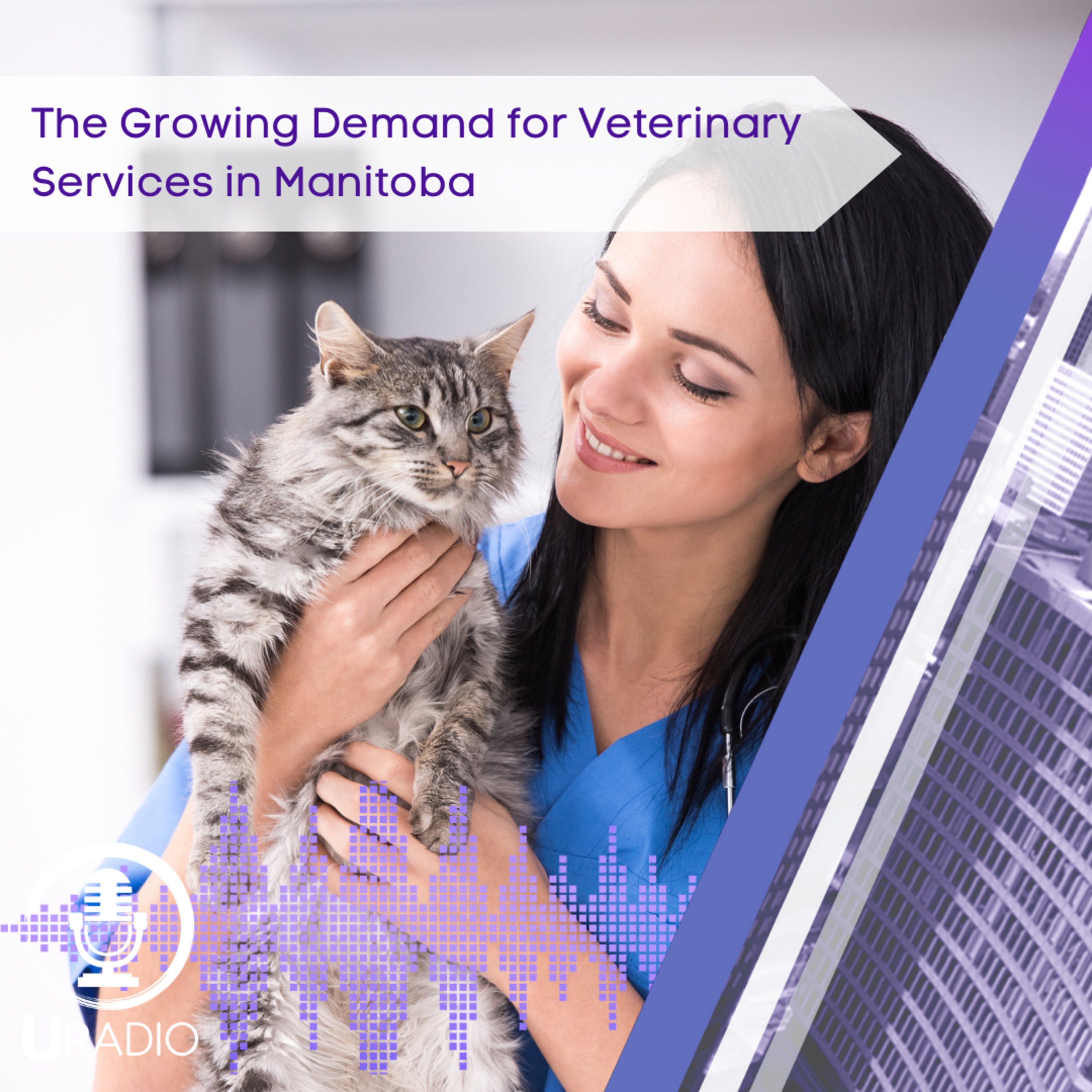 U Radio News: The Growing Demand for Veterinary Services in Manitoba episode artwork