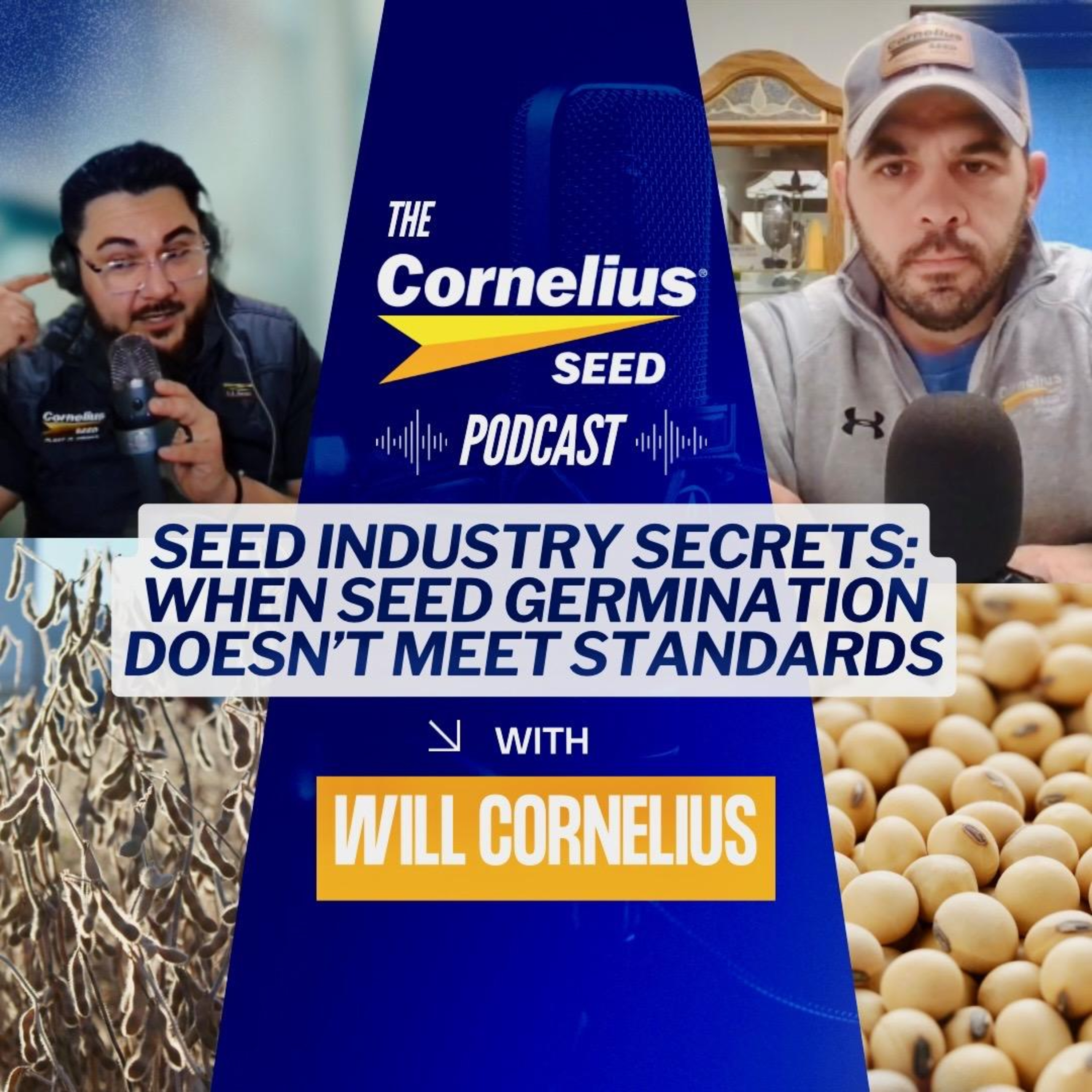 Seed Industry Secrets: When Seed Germination Doesn't Meet Standards