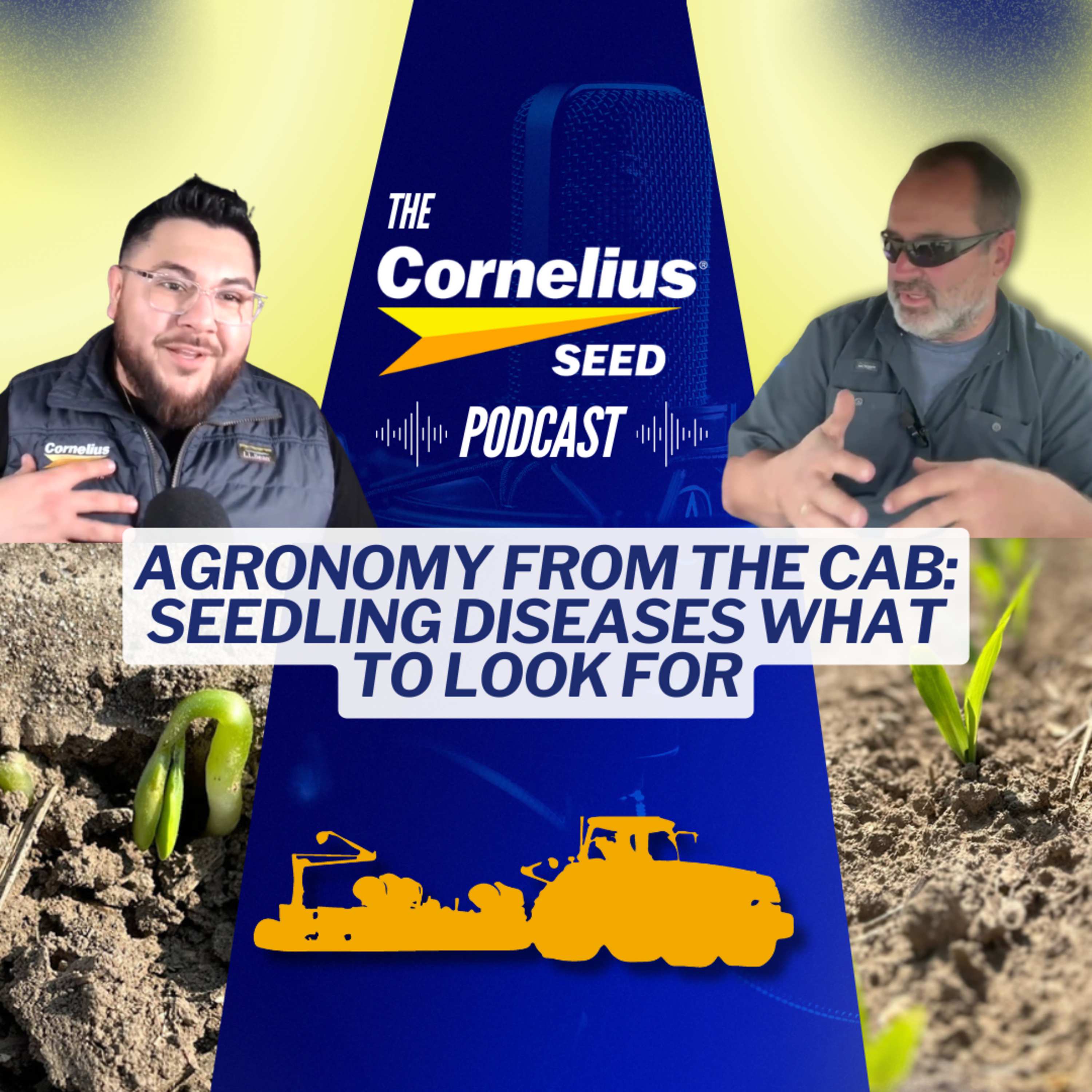 Agronomy from the cab: Seedling Diseases - What to Look For episode artwork