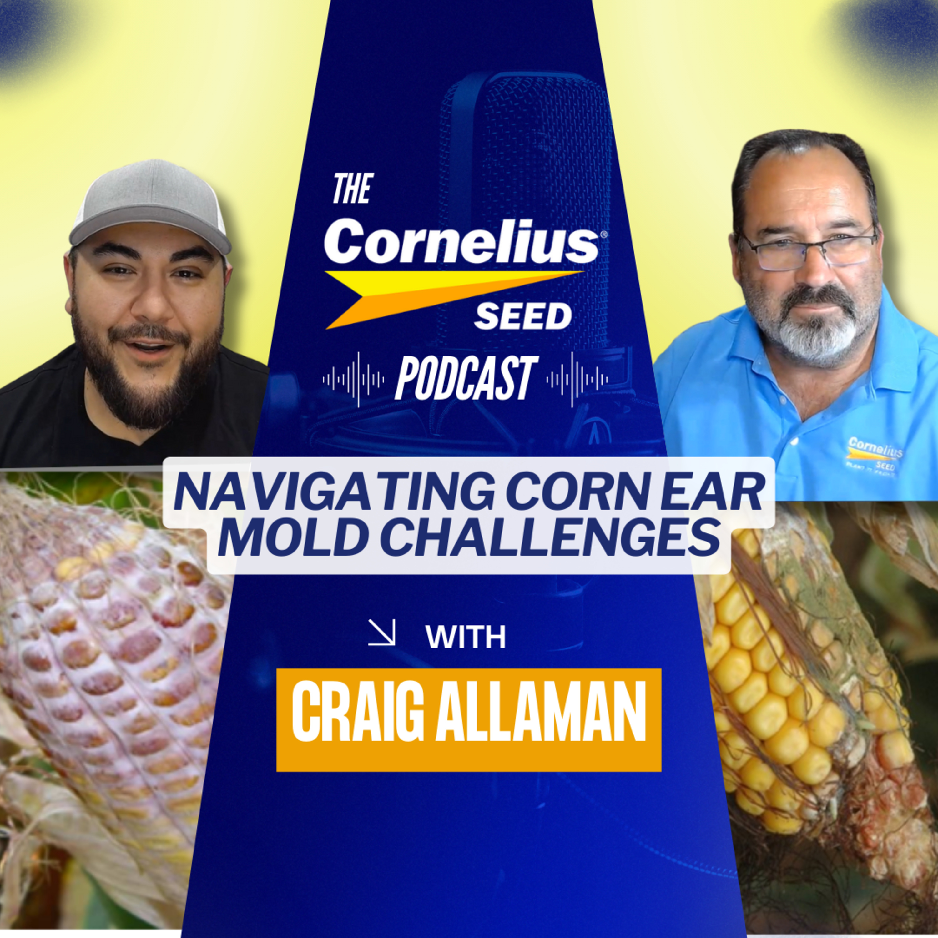 Navigating Corn Ear Mold Challenges episode artwork