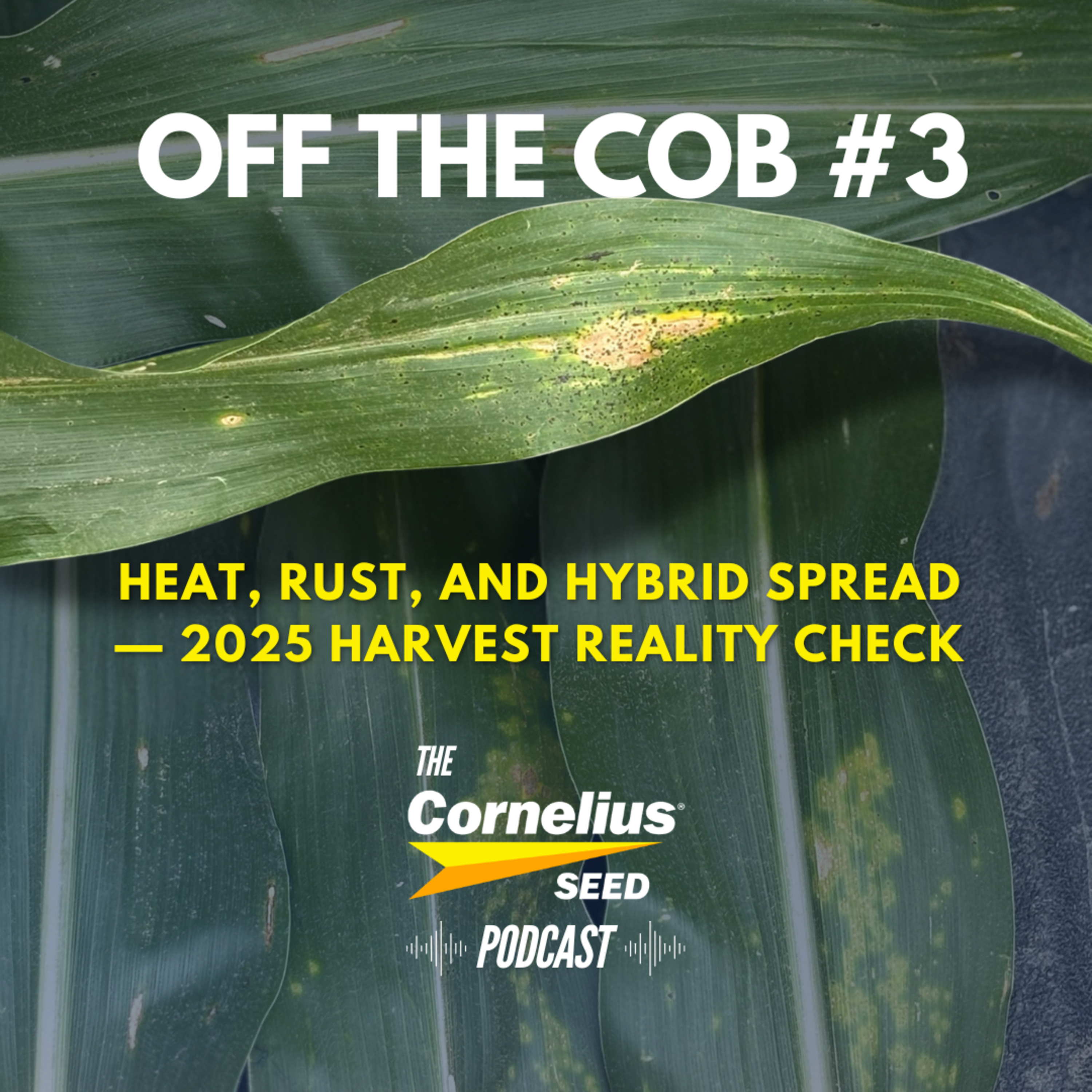 Off the Cob: Heat, Rust, and Hybrid Spread — 2025 Harvest Reality Check episode artwork