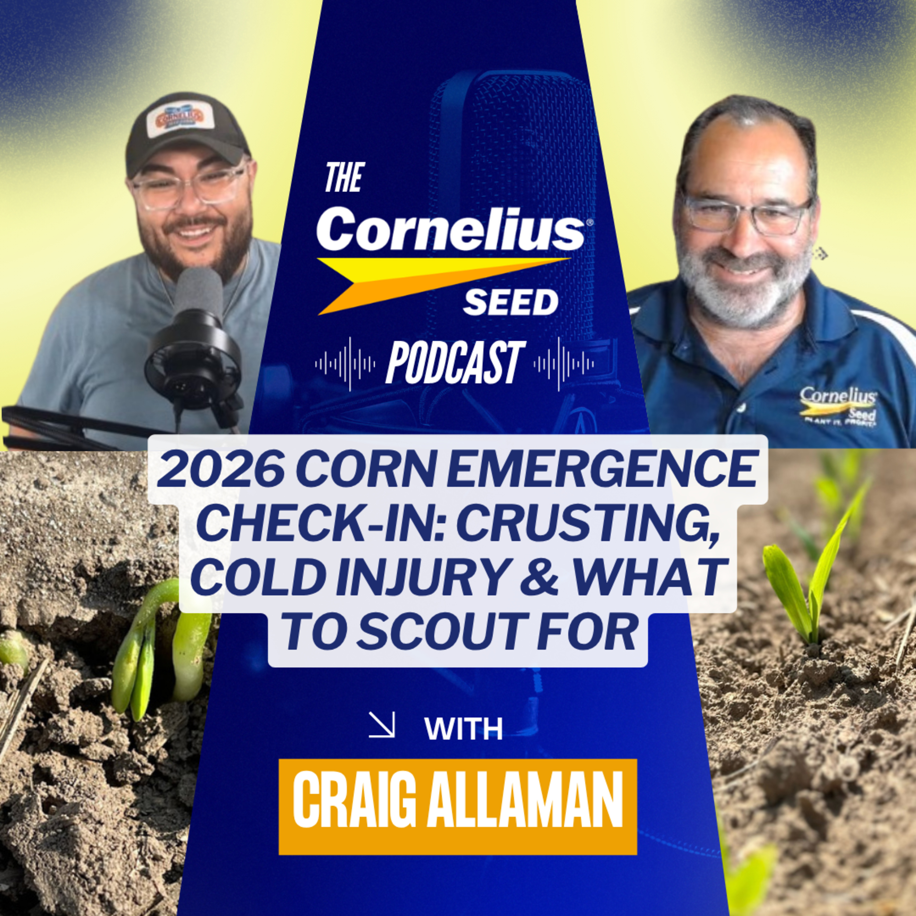 2026 Corn Emergence Check-In: Crusting, Cold Injury & What to Scout For episode artwork