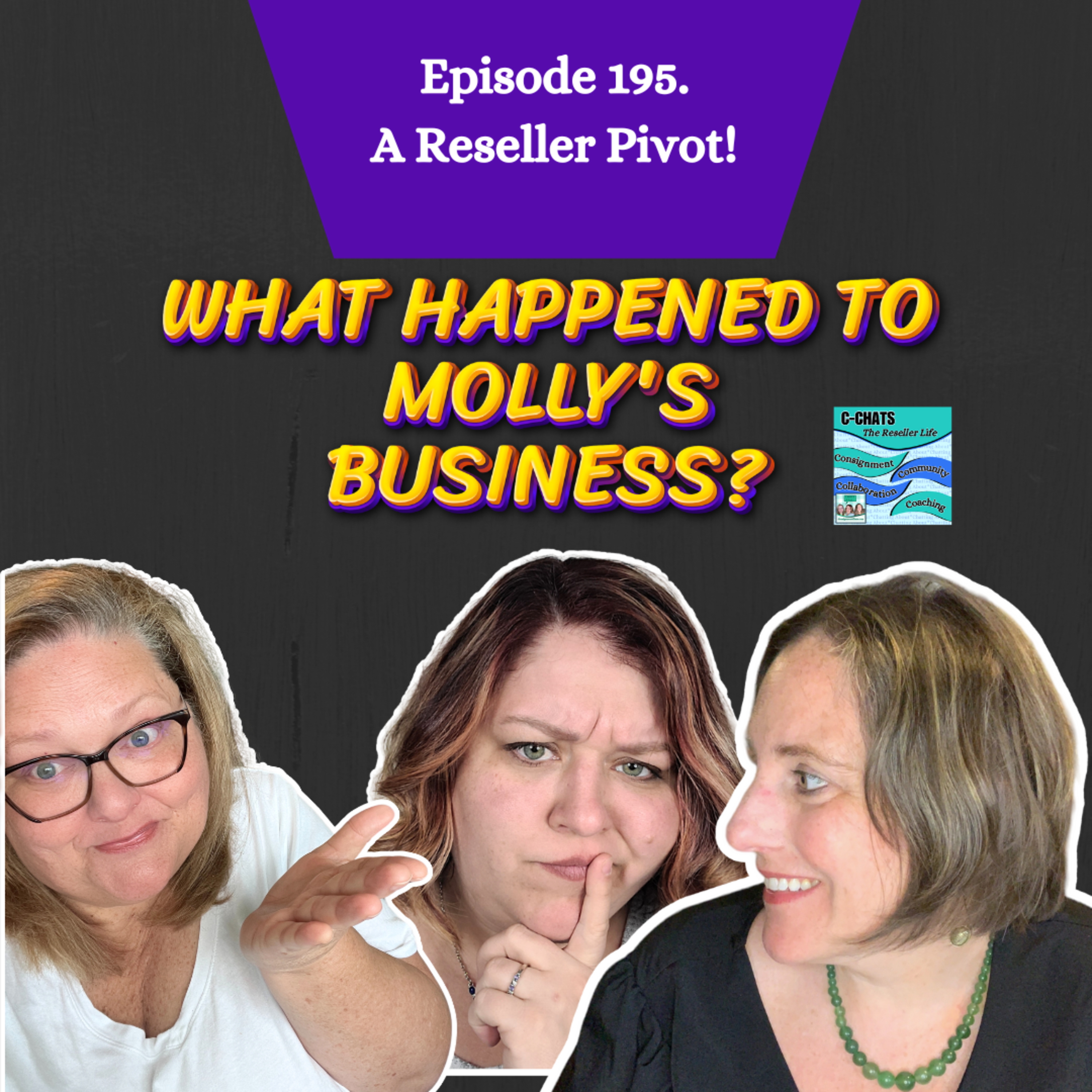 Episode 195. Is this Reseller Taking Thrifting TOO FAR? Molly selling to consignment shops?(S4.E39) episode artwork
