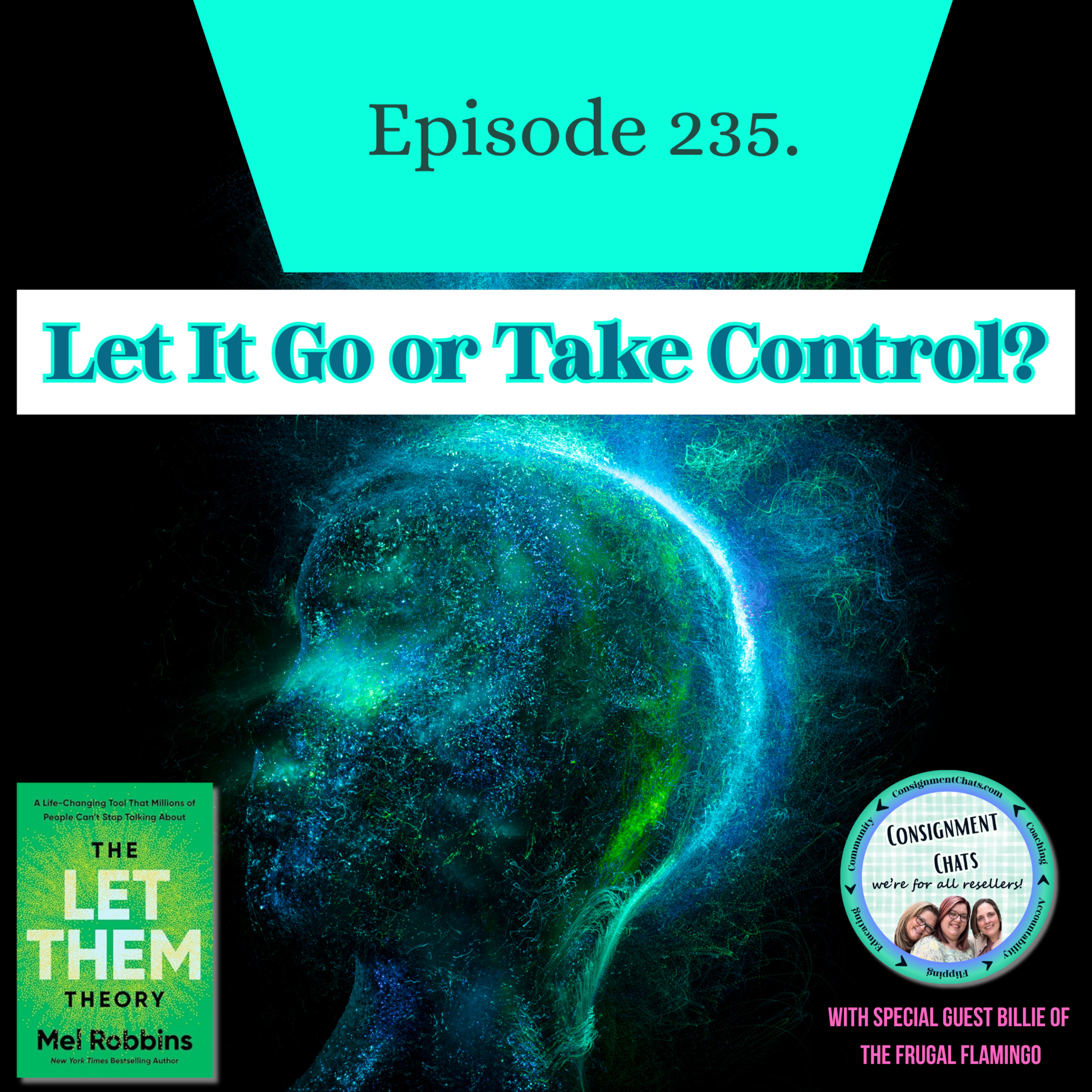 Episode 235. Reseller Reality Check: How the Let Them Theory Can Save Your Sanity (S5.E26) episode artwork