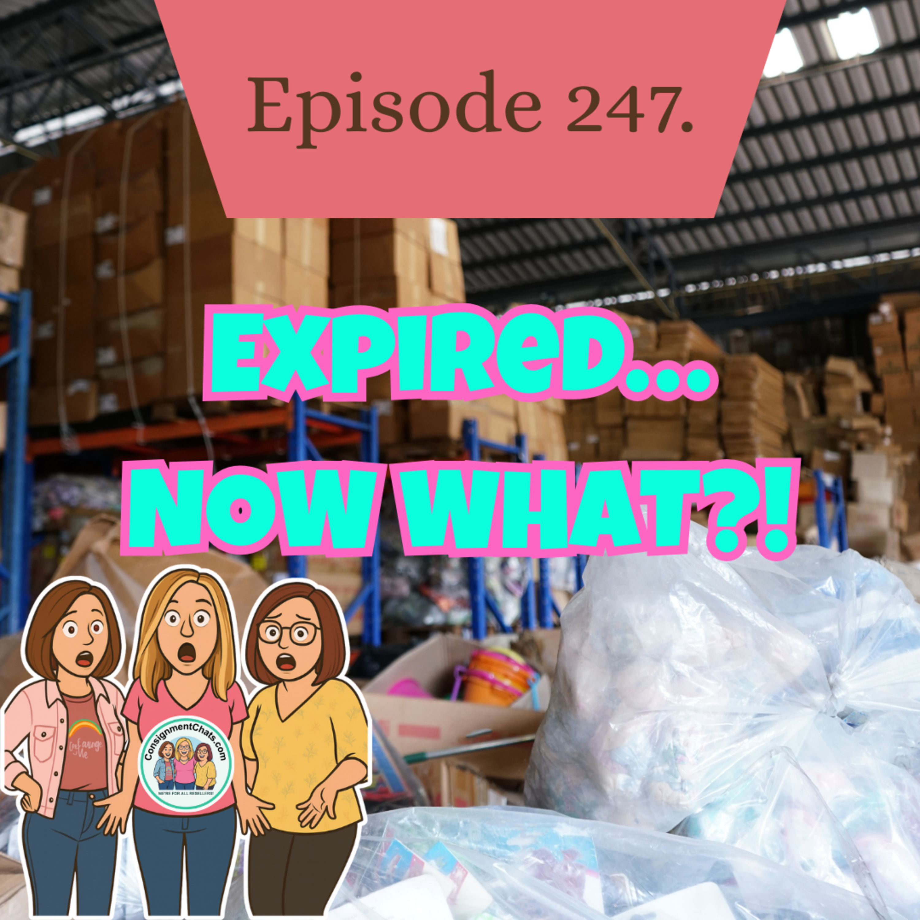 Episode 247. Consignment Secrets EXPOSED: Where Unsold Inventory Actually Goes(S5.E38) episode artwork