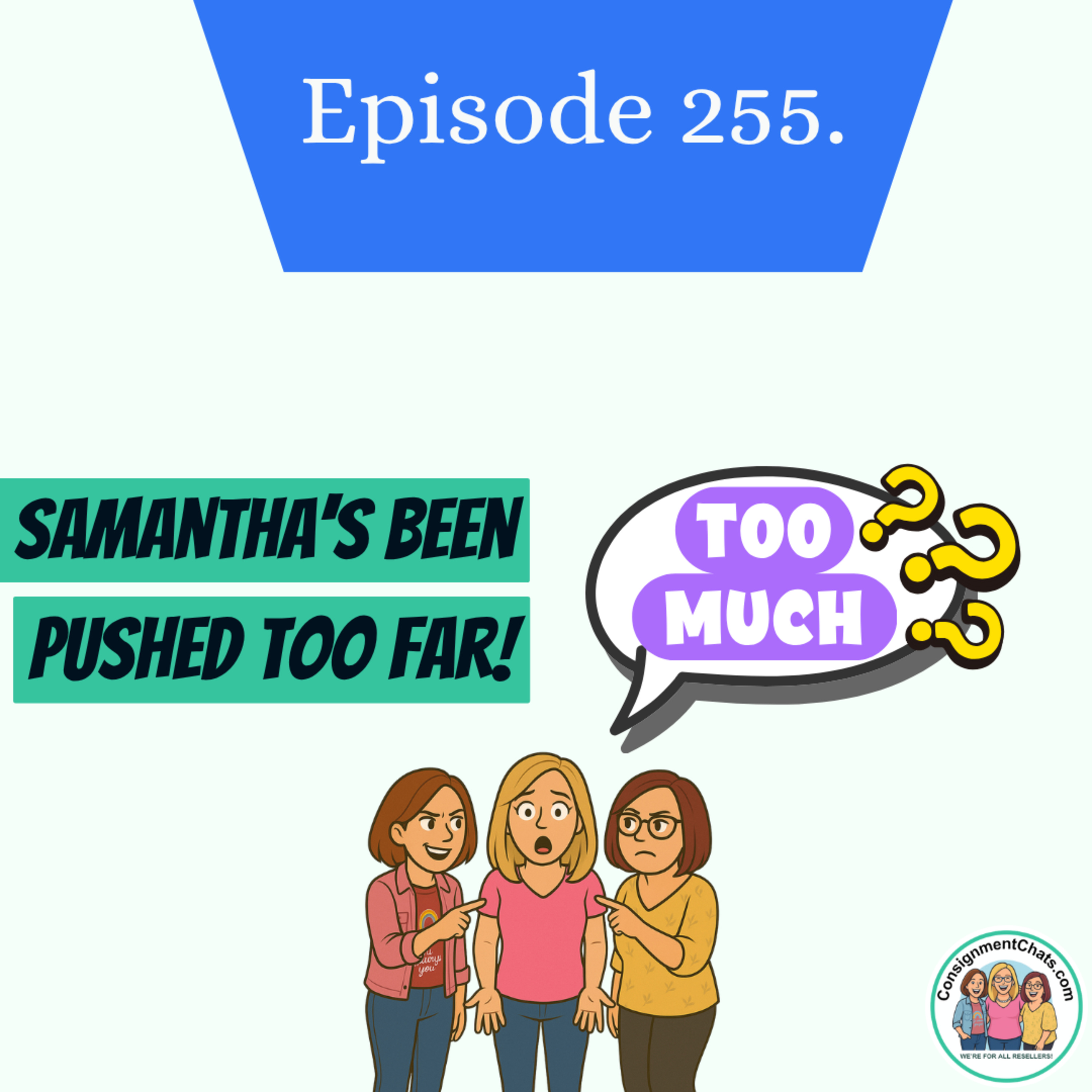 Episode 255. Inventory Systems That ACTUALLY Work for Real Resellers Like You(S5.E46) episode artwork