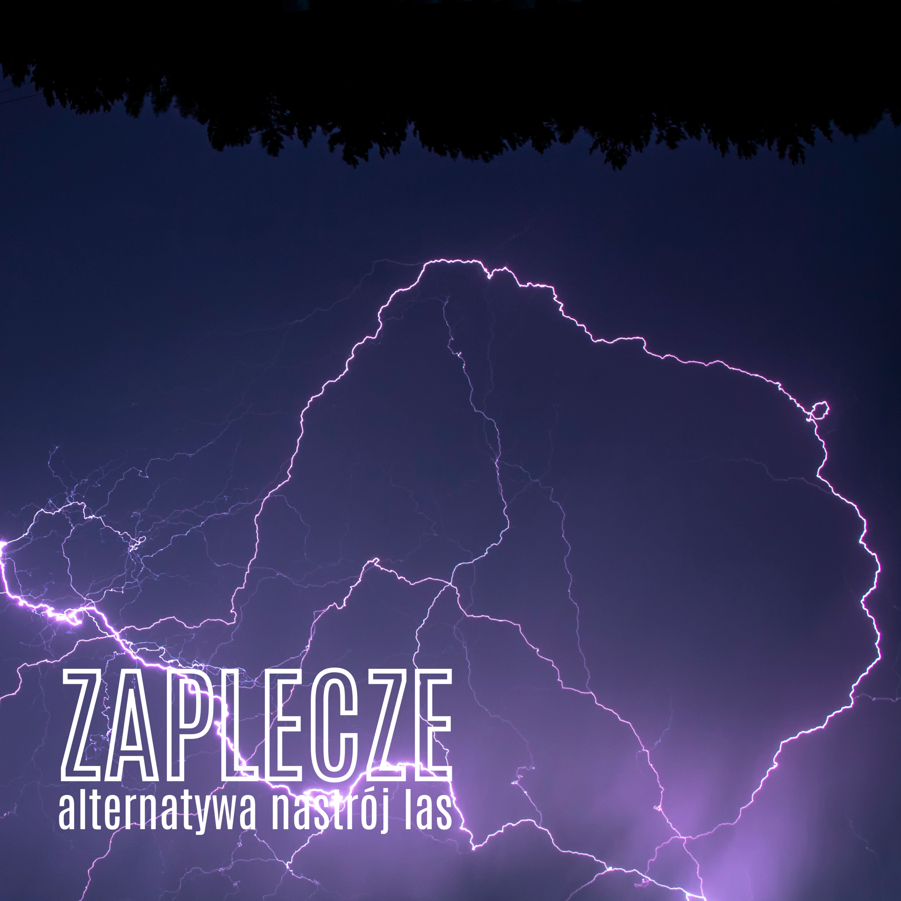 ZAPLECZE alternatywa nastrój las