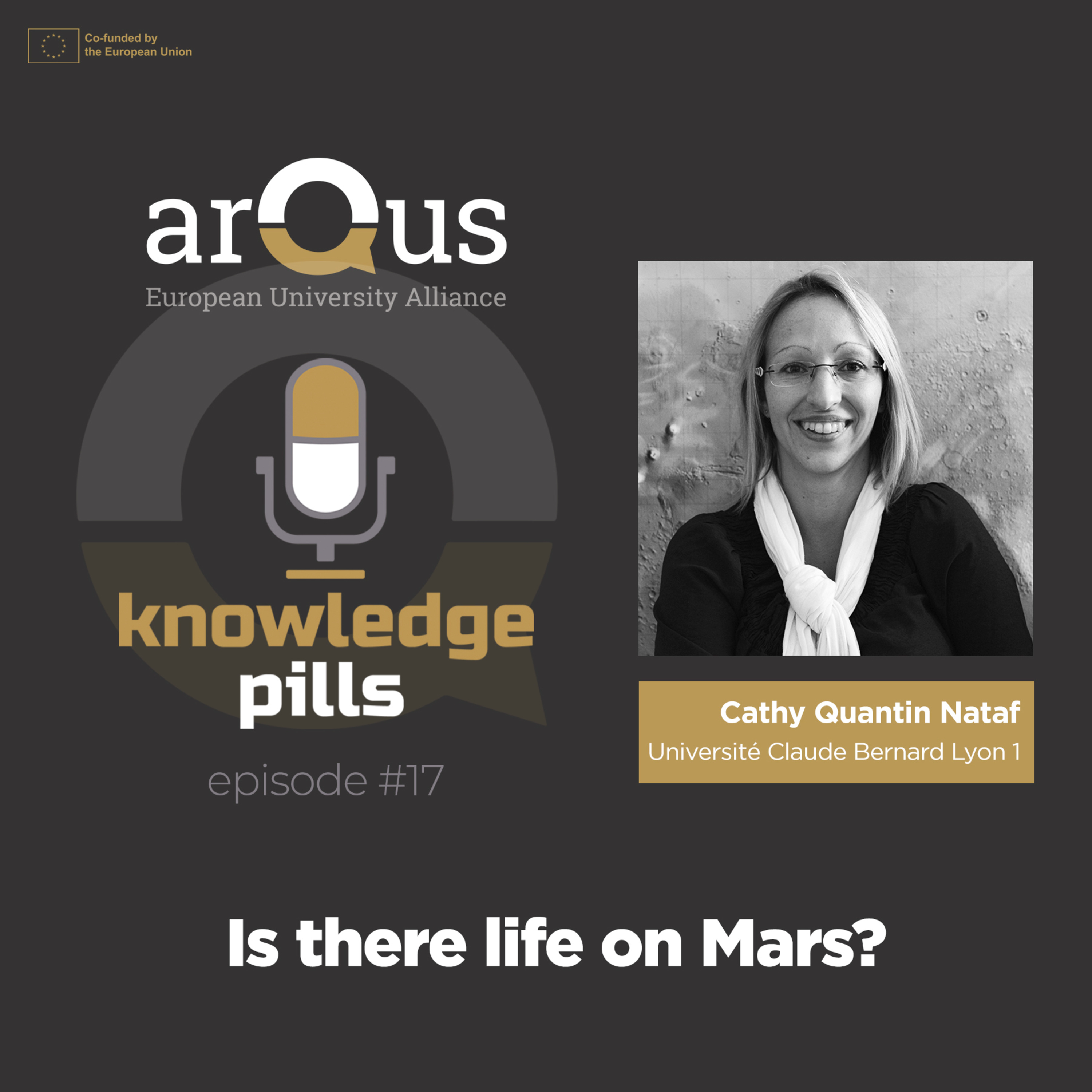 #17: Is there life on Mars?  episode artwork