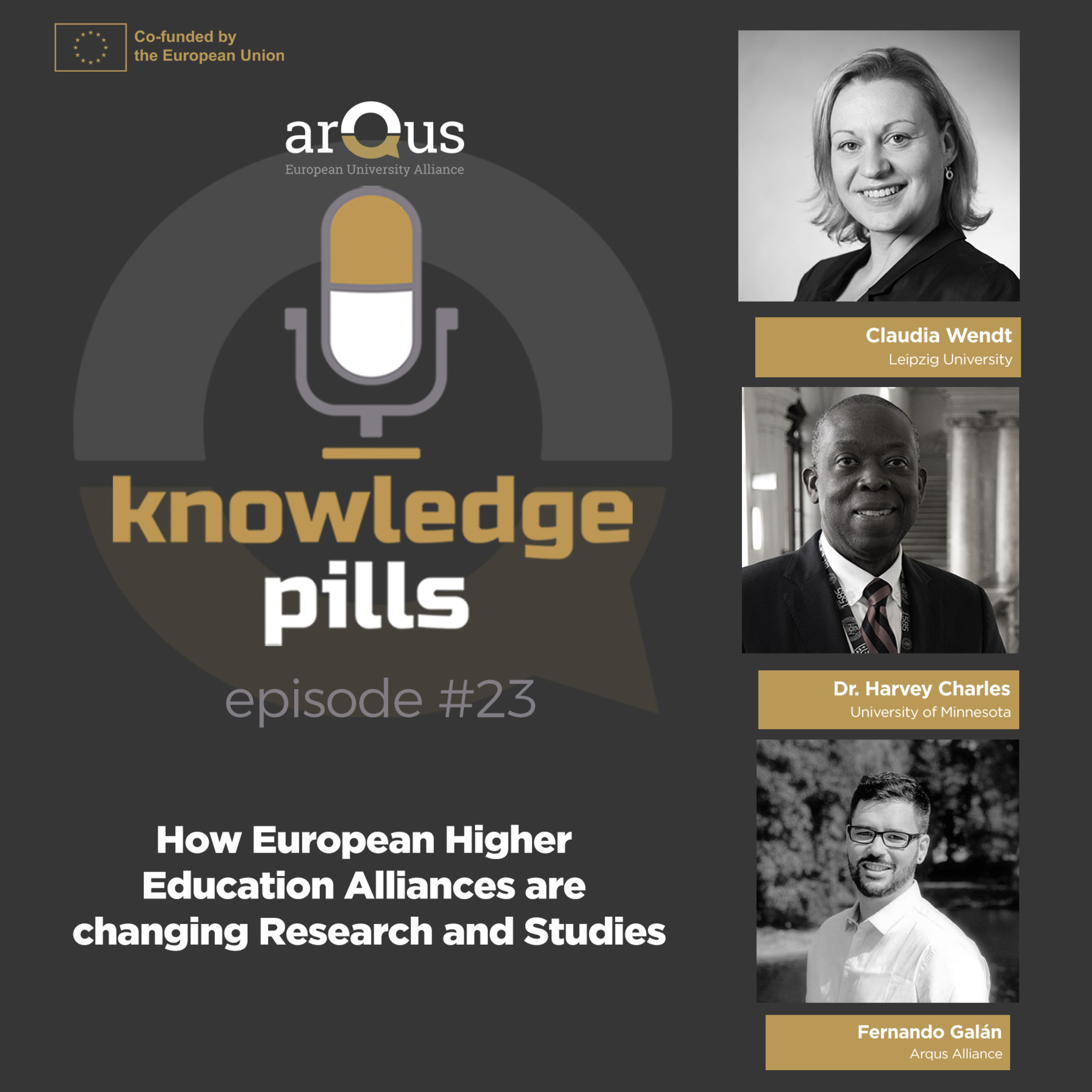 #23: How European Higher Education Alliances are changing Research and Studies episode artwork
