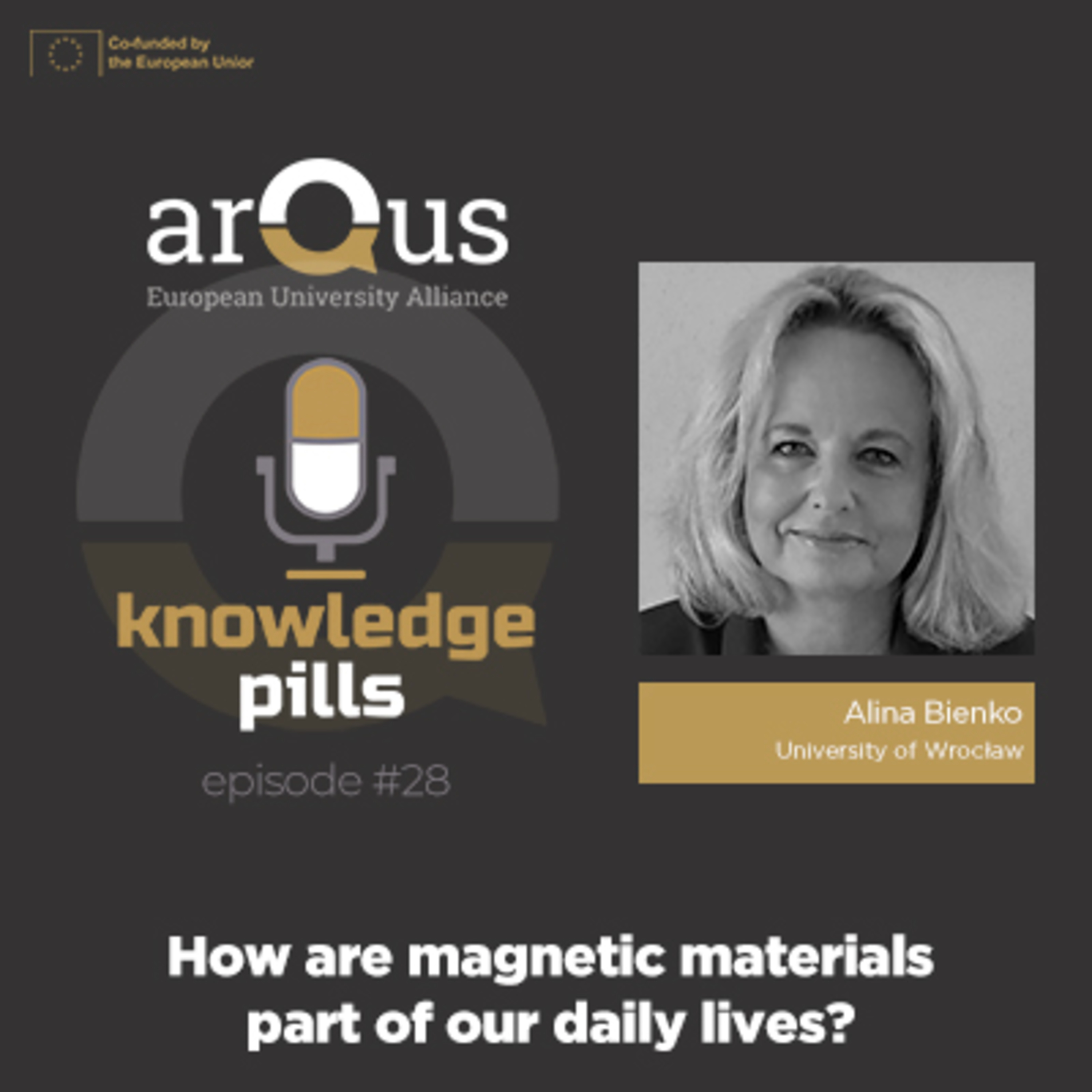 #28: How are magnetic materials part of our daily lives? episode artwork