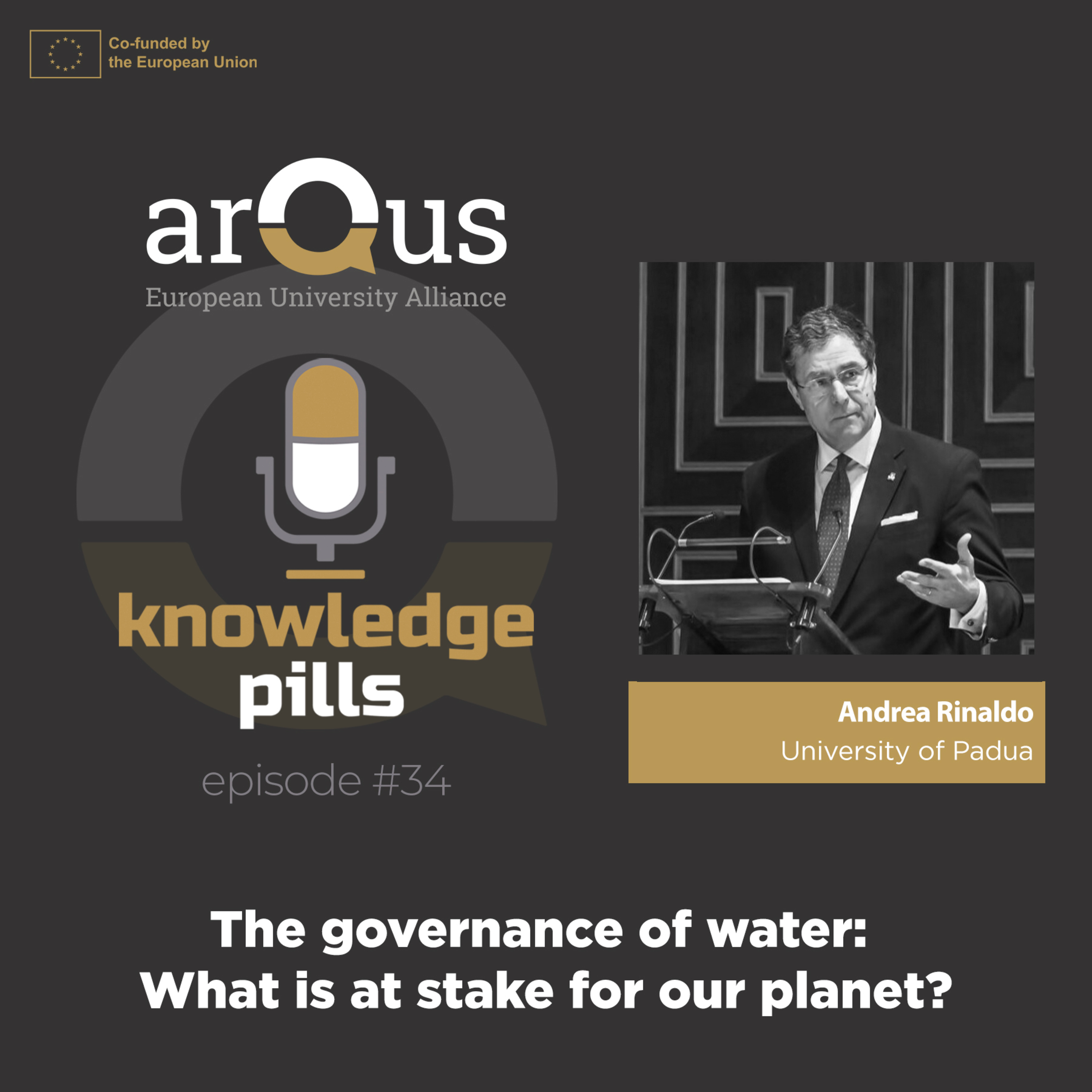#34: The governance of water: What is at stake for our planet? episode artwork
